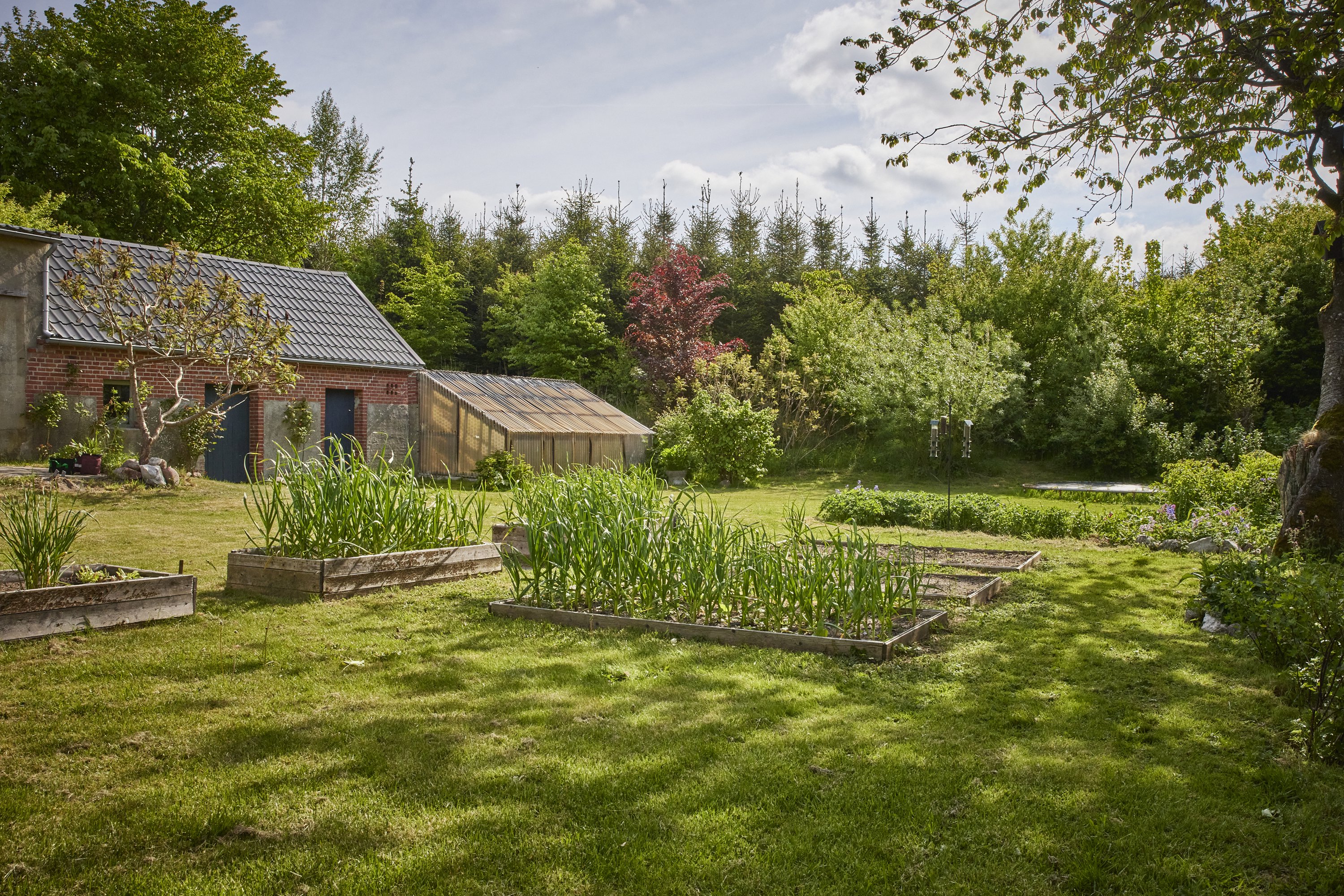 Fremhævet have billede i fuldskærmstilstand. Billede af Fårupvej 26, 8840 Rødkærsbro