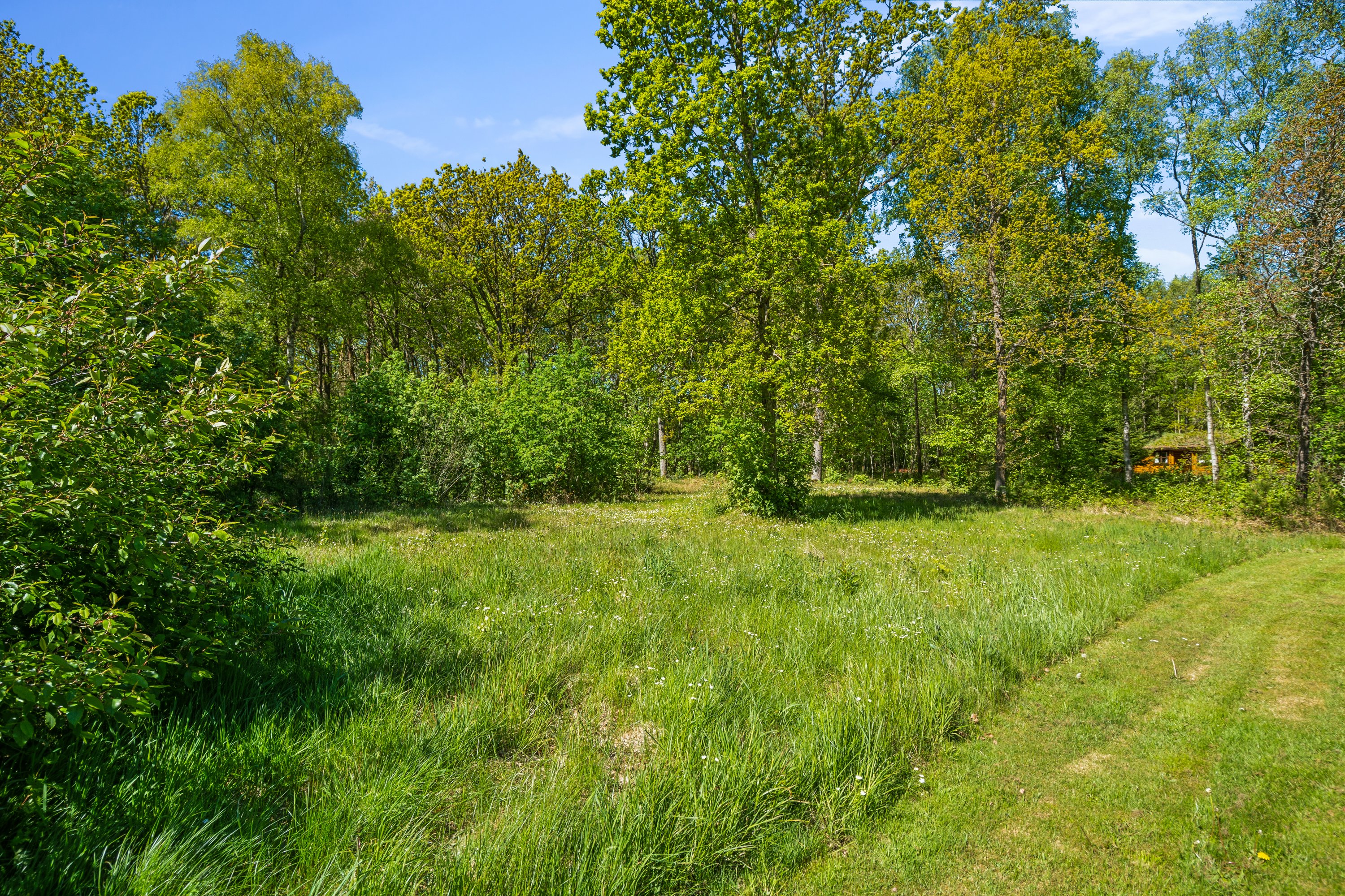Fremhævet have billede i fuldskærmstilstand. Billede af Nordgårdsvej 1, Byrum, 9940 Læsø
