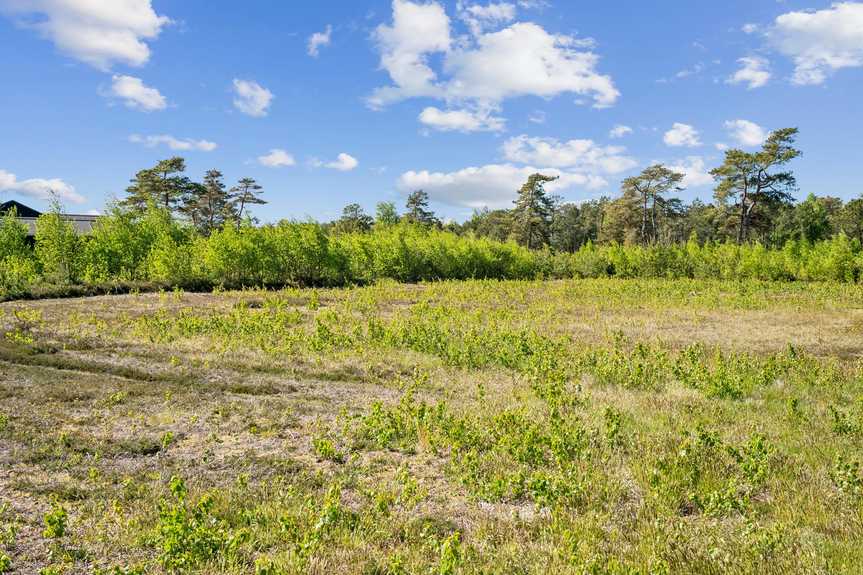 Fremhævet udsigt billede i fuldskærmstilstand. Billede af Sydhavnsvej 17, Østerby, 9940 Læsø