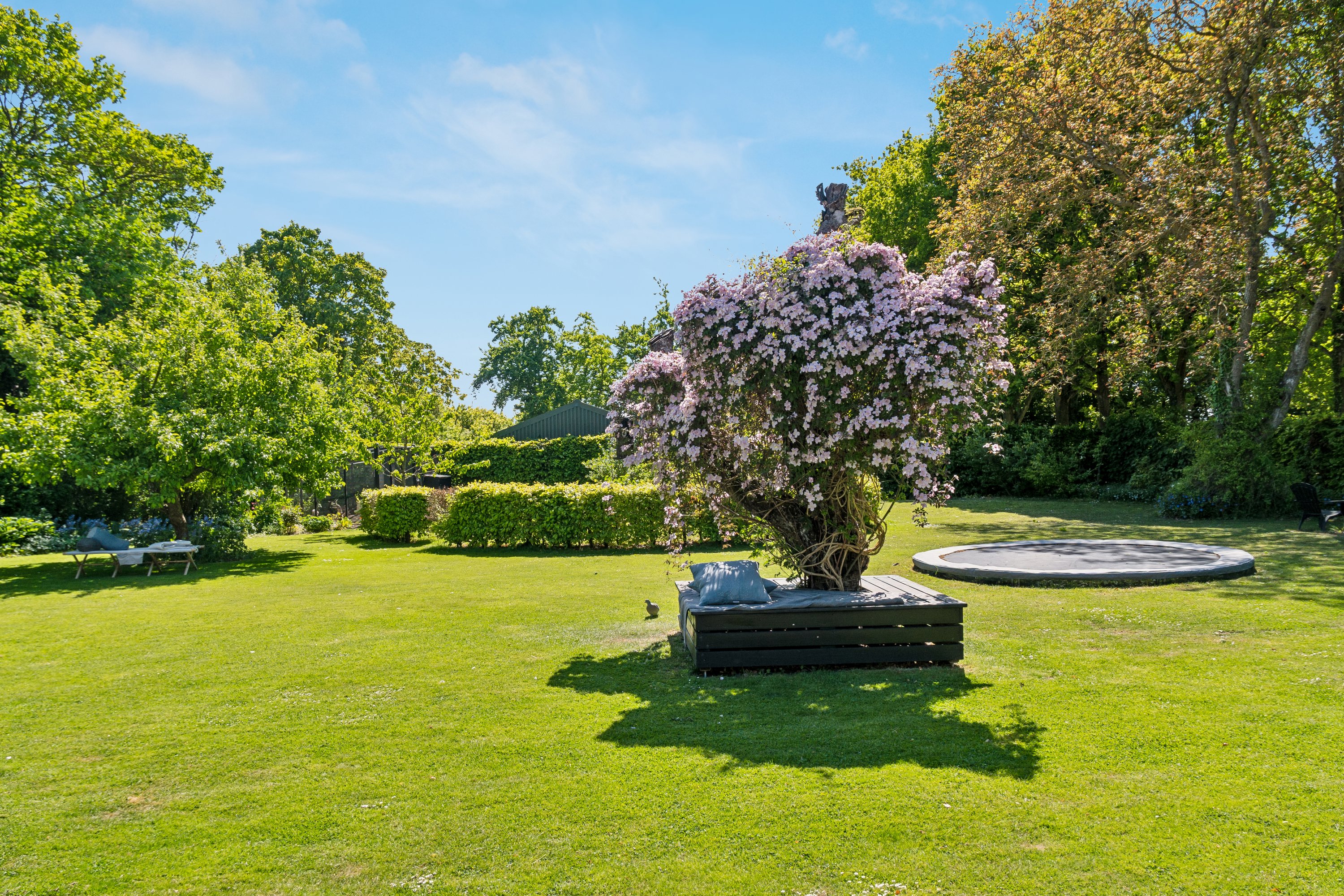 Fremhævet have billede i fuldskærmstilstand. Billede af Hans Tausensgade 37, 5550 Langeskov