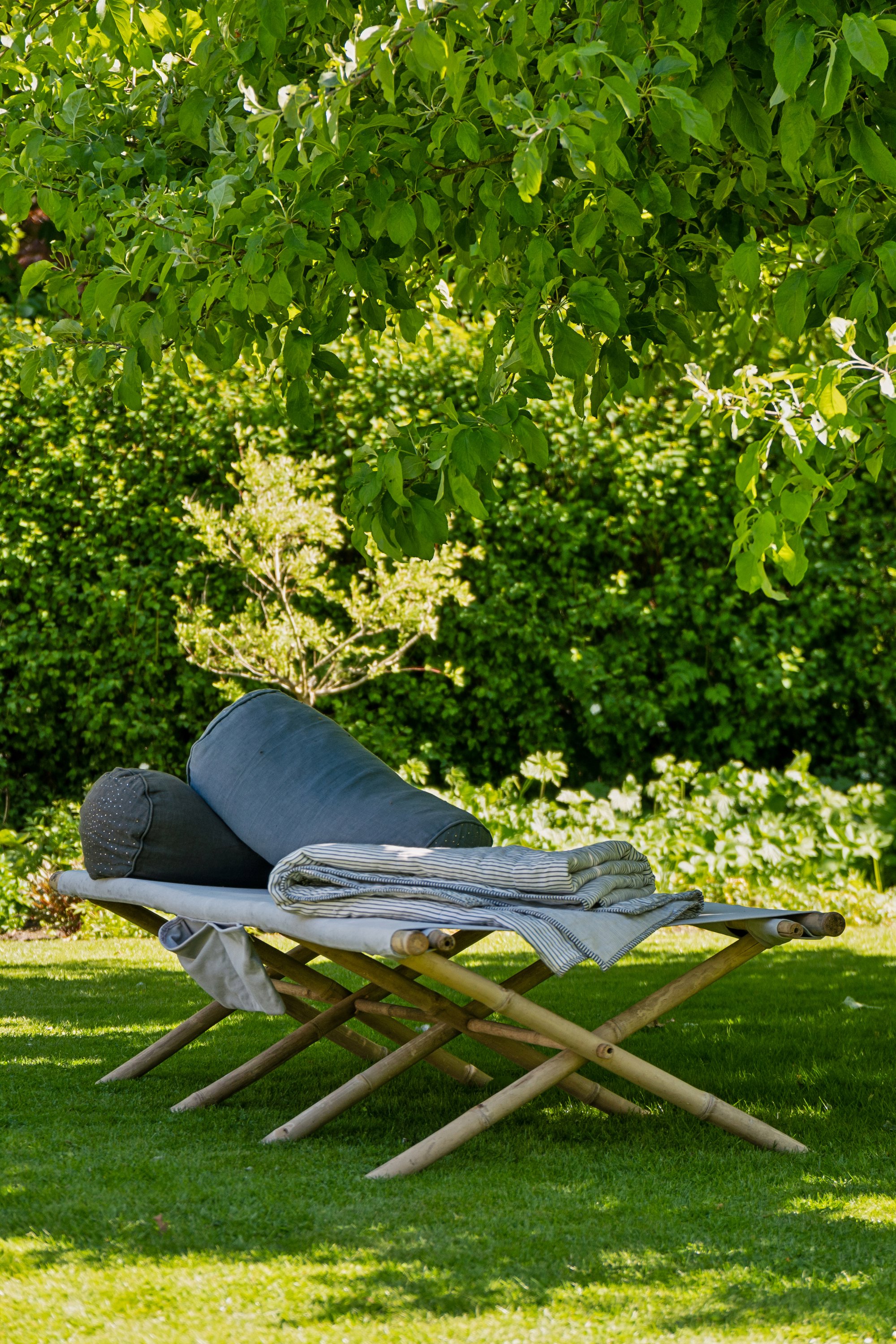 Fremhævet have billede i fuldskærmstilstand. Billede af Hans Tausensgade 37, 5550 Langeskov