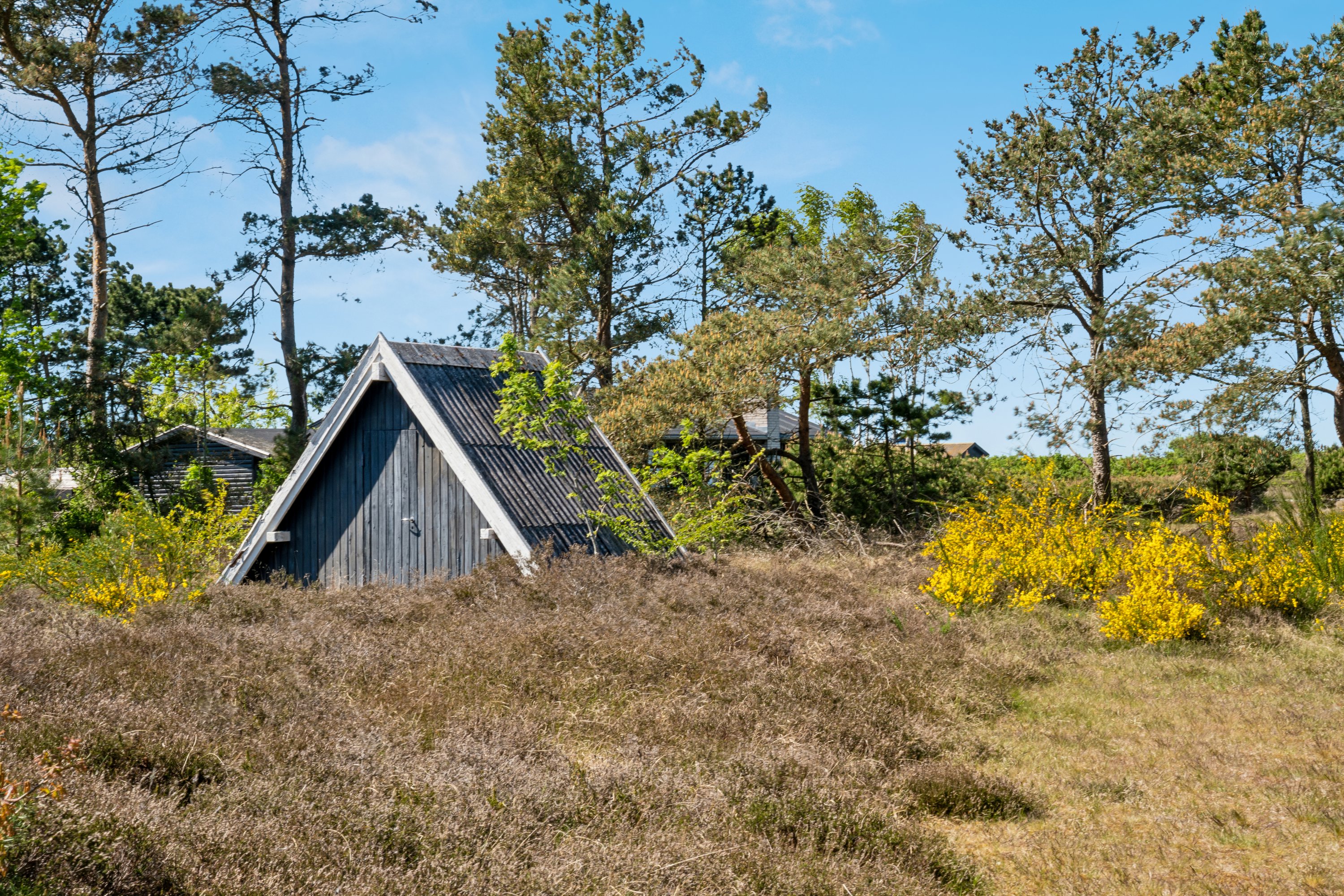 Fremhævet ejendom 1 billede i fuldskærmstilstand. Billede af Lyngvej 1, Vesterø Havn, 9940 Læsø