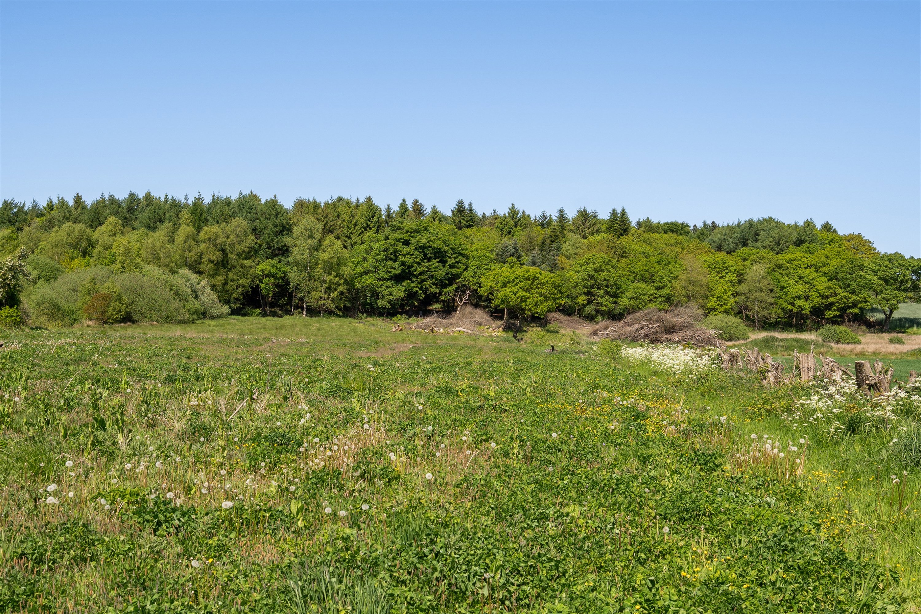 Fremhævet ejendommen billede i fuldskærmstilstand. Billede af Sadderupvej 12, 6705 Esbjerg Ø