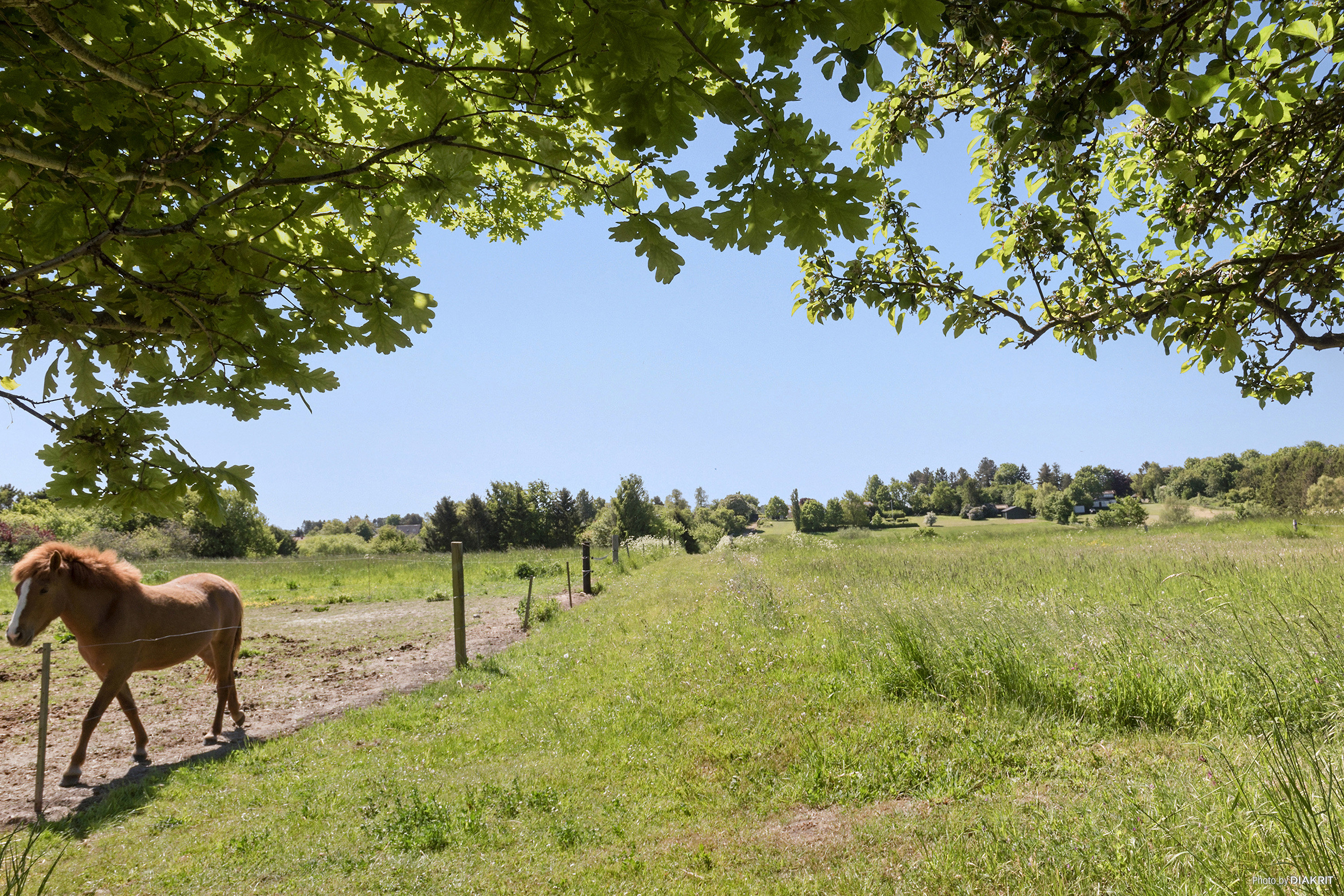 Miniaturebillede 2: område. Billede af Skovrækken 21, Vallø, 4600 Køge