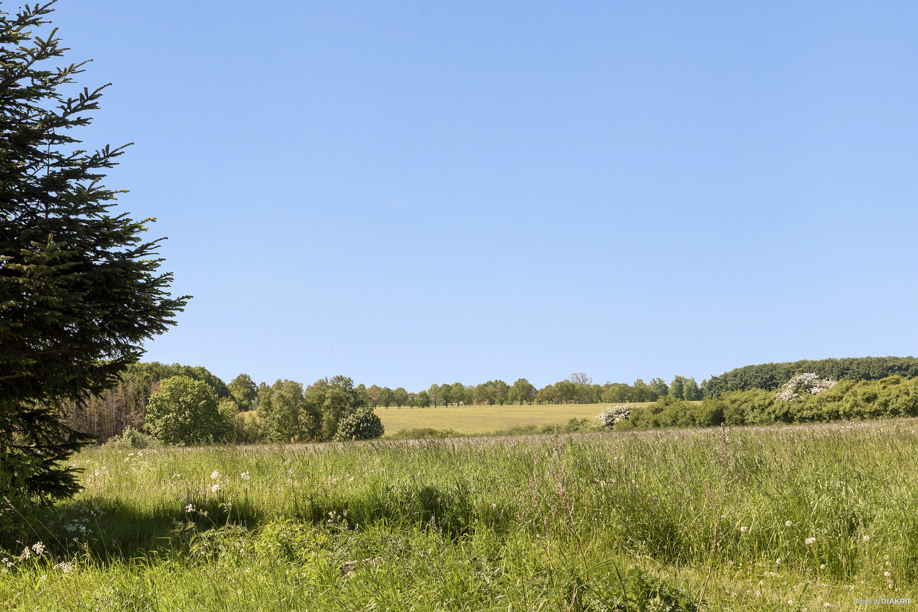 Fremhævet område billede i fuldskærmstilstand. Billede af Skovrækken 21, Vallø, 4600 Køge