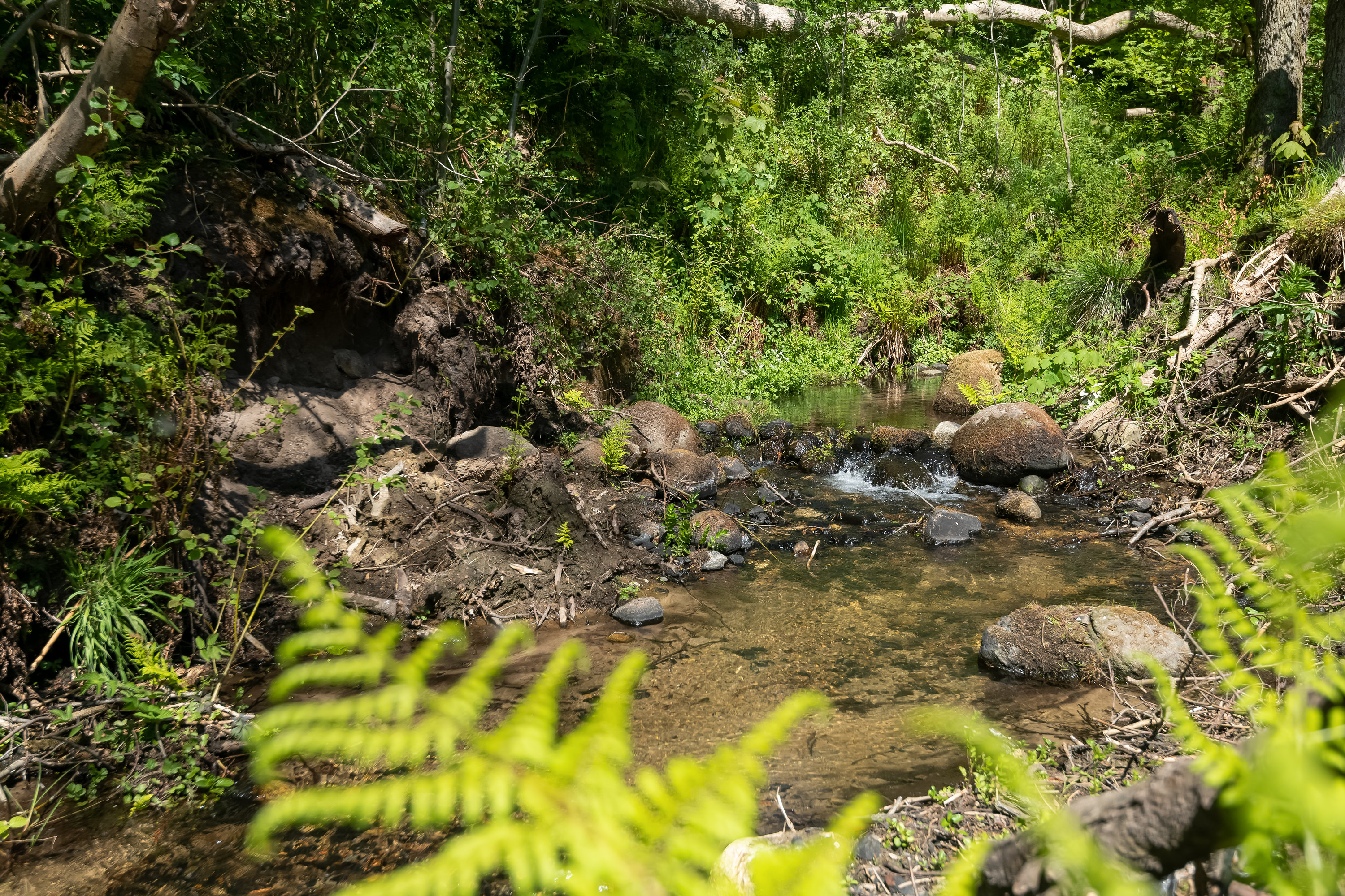 Fremhævet  billede i fuldskærmstilstand. Billede af Skarpholtvej 19, 9750 Østervrå