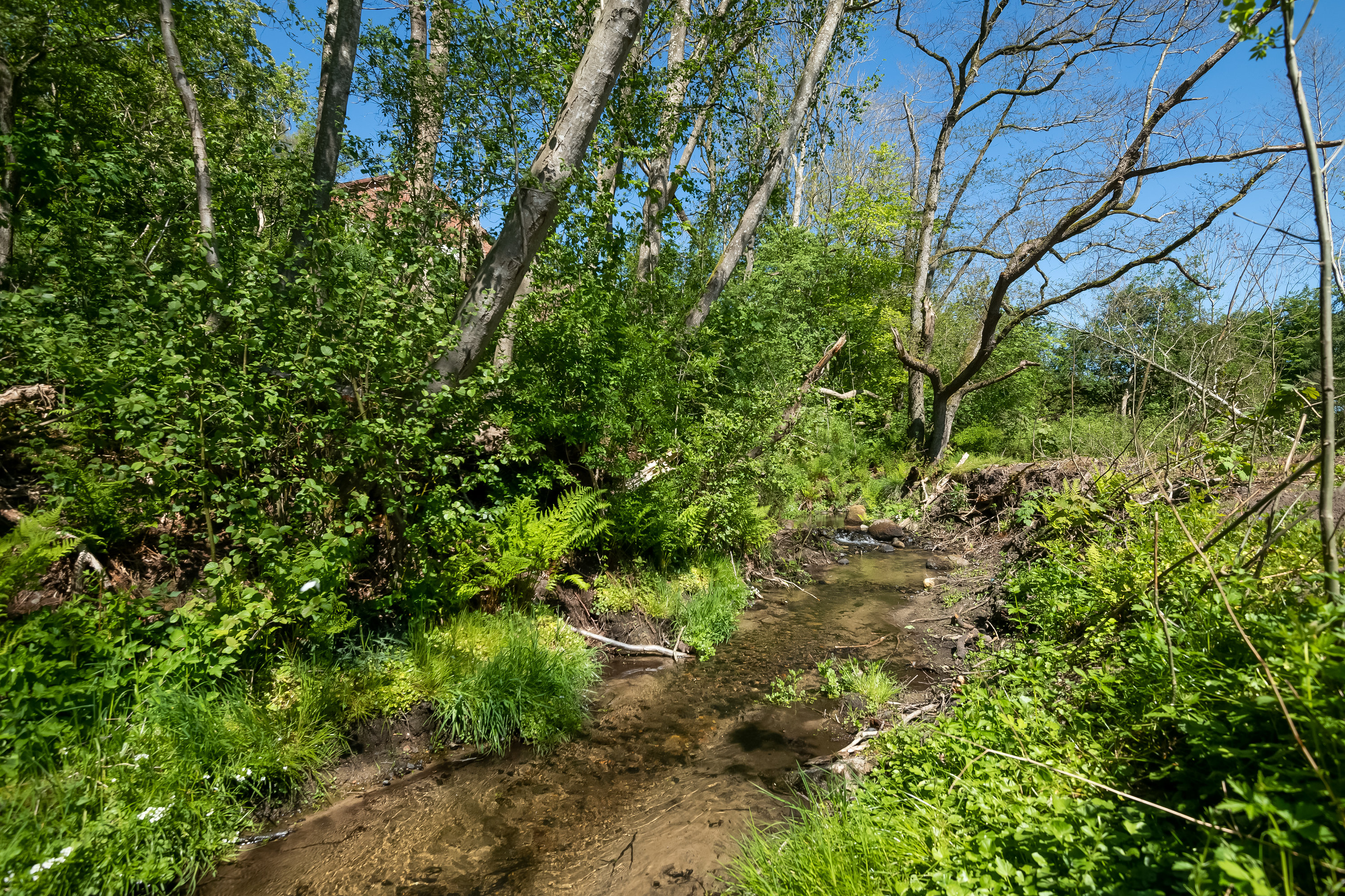 Fremhævet  billede i fuldskærmstilstand. Billede af Skarpholtvej 19, 9750 Østervrå