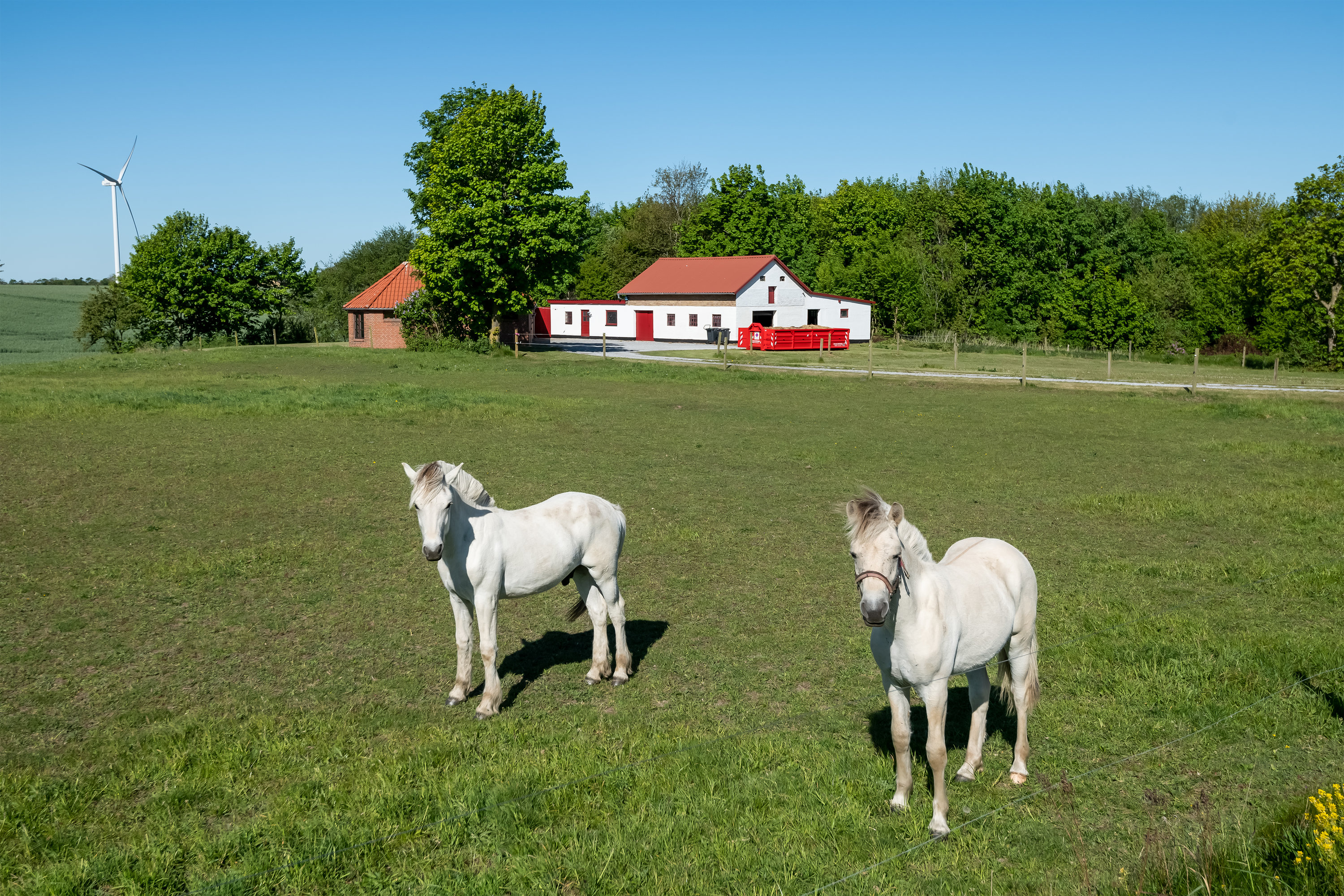 Fremhævet  billede i fuldskærmstilstand. Billede af Sønderskovvej 164, 9800 Hjørring
