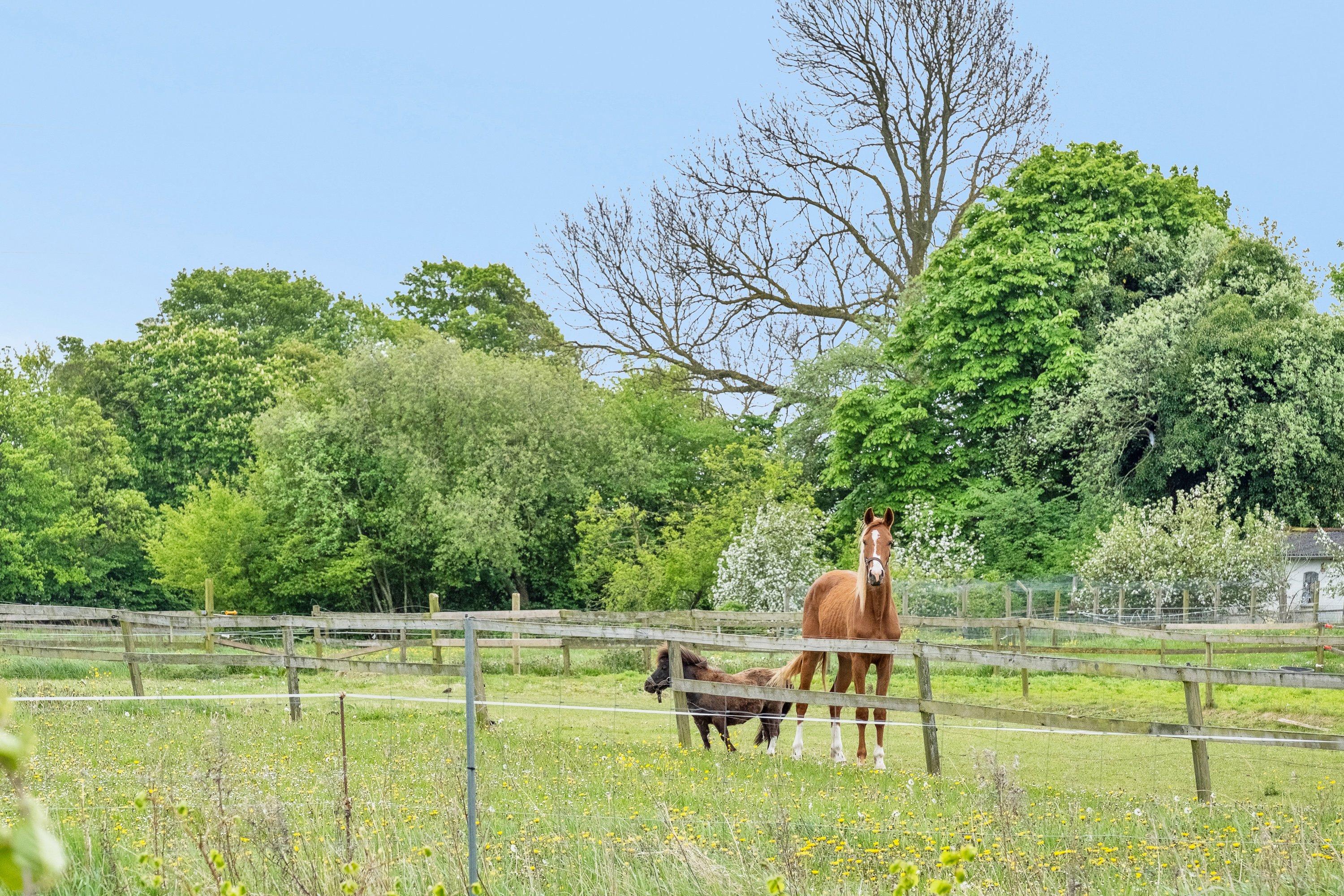 Fremhævet udsigt billede i fuldskærmstilstand. Billede af Revelhøjvej 13, Kasted, 8200 Aarhus N