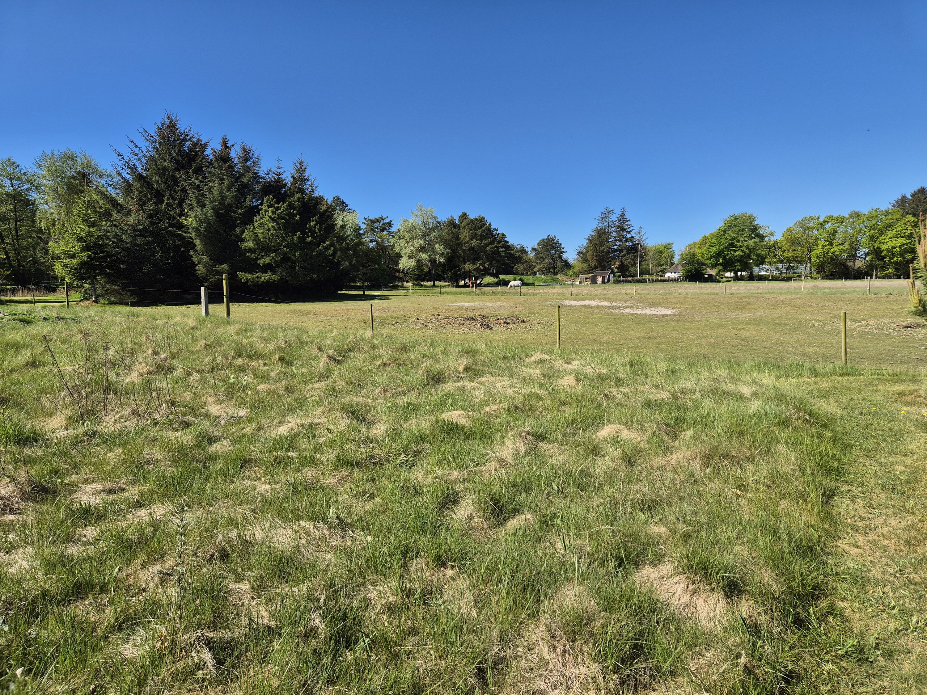 Miniaturebillede 1: . Billede af Hovænget 21, Ho, 6857 Blåvand