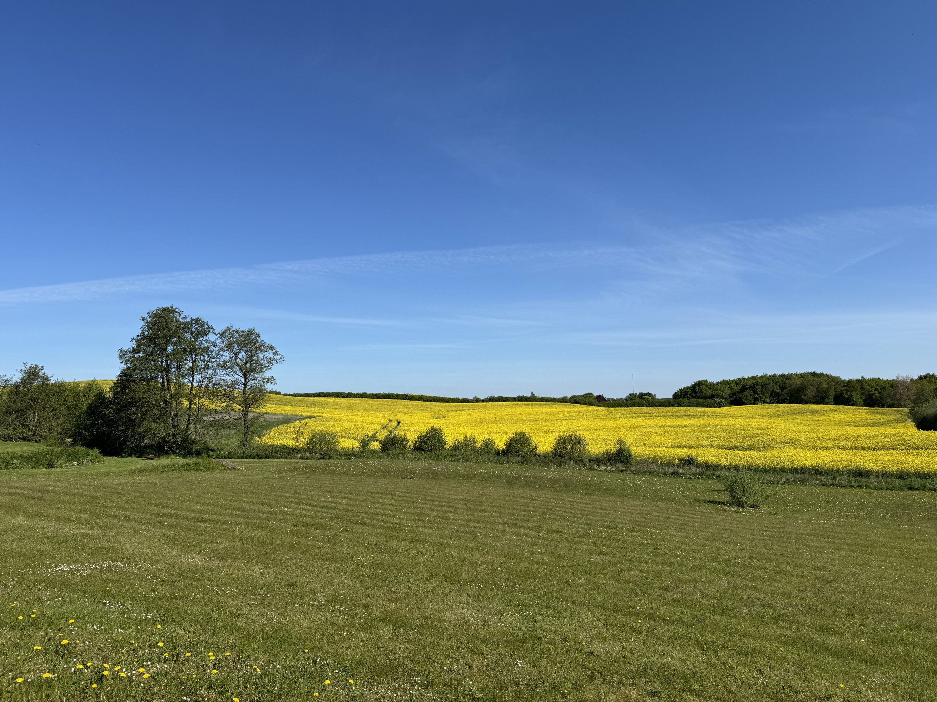Fremhævet  billede i fuldskærmstilstand. Billede af Møllegårdsvænget 12, Nr Broby, 5672 Broby