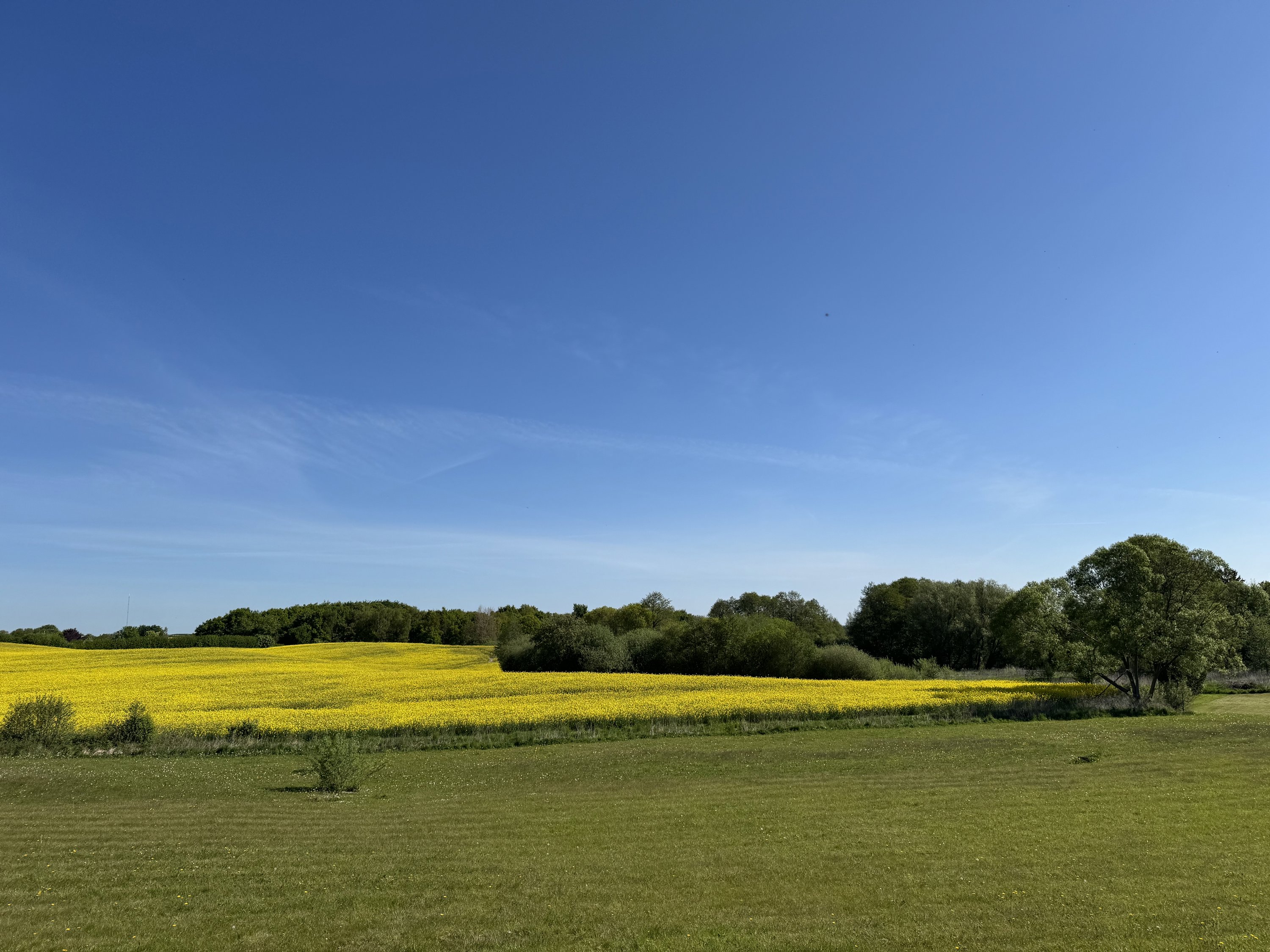 Miniaturebillede 2: . Billede af Møllegårdsvænget 10, Nr Broby, 5672 Broby