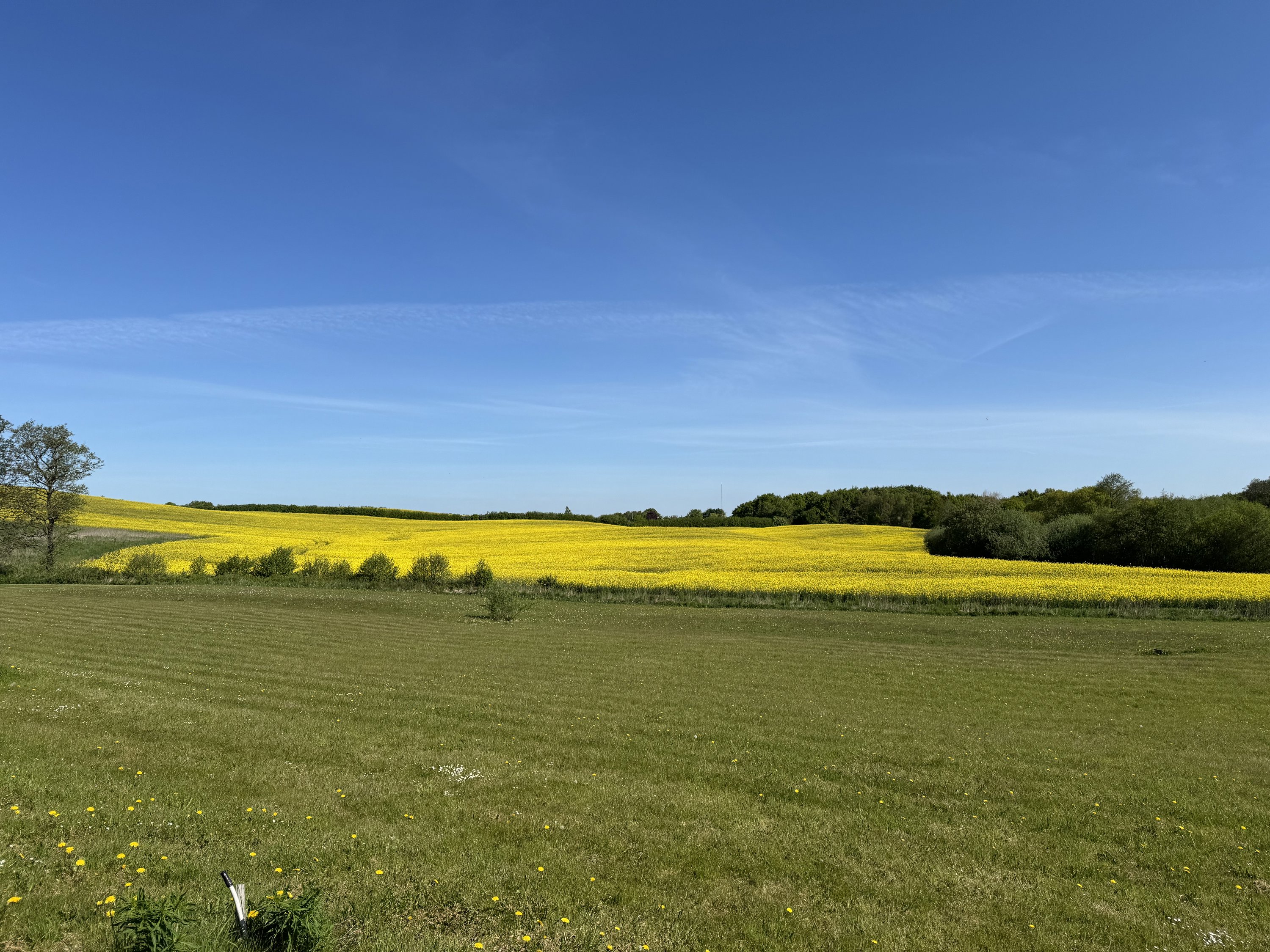 Helårsgrund på Møllegårdsvænget 12, Nr Broby, 5672 Broby