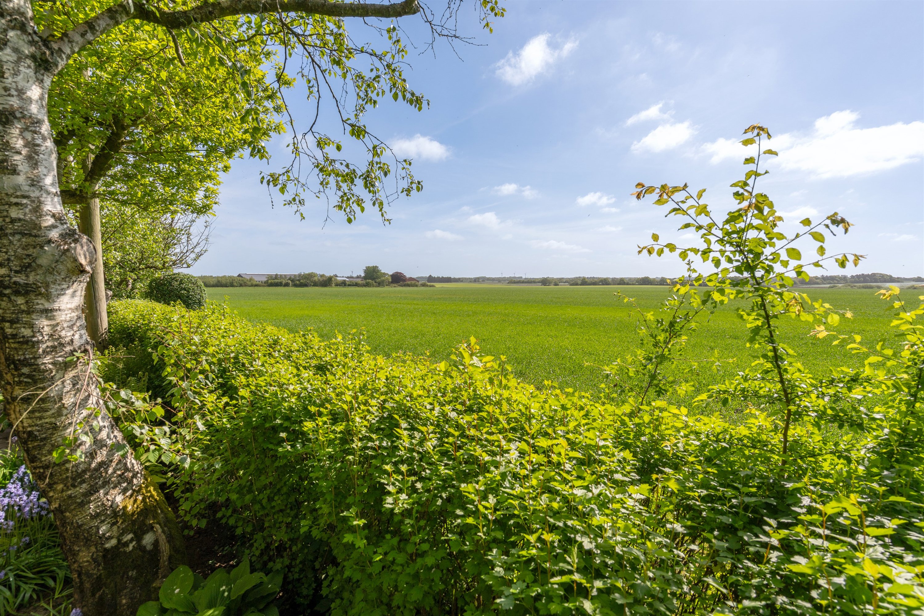 Fremhævet ejendommen billede i fuldskærmstilstand. Billede af Sdr Mallevej 44, Horne, 6800 Varde