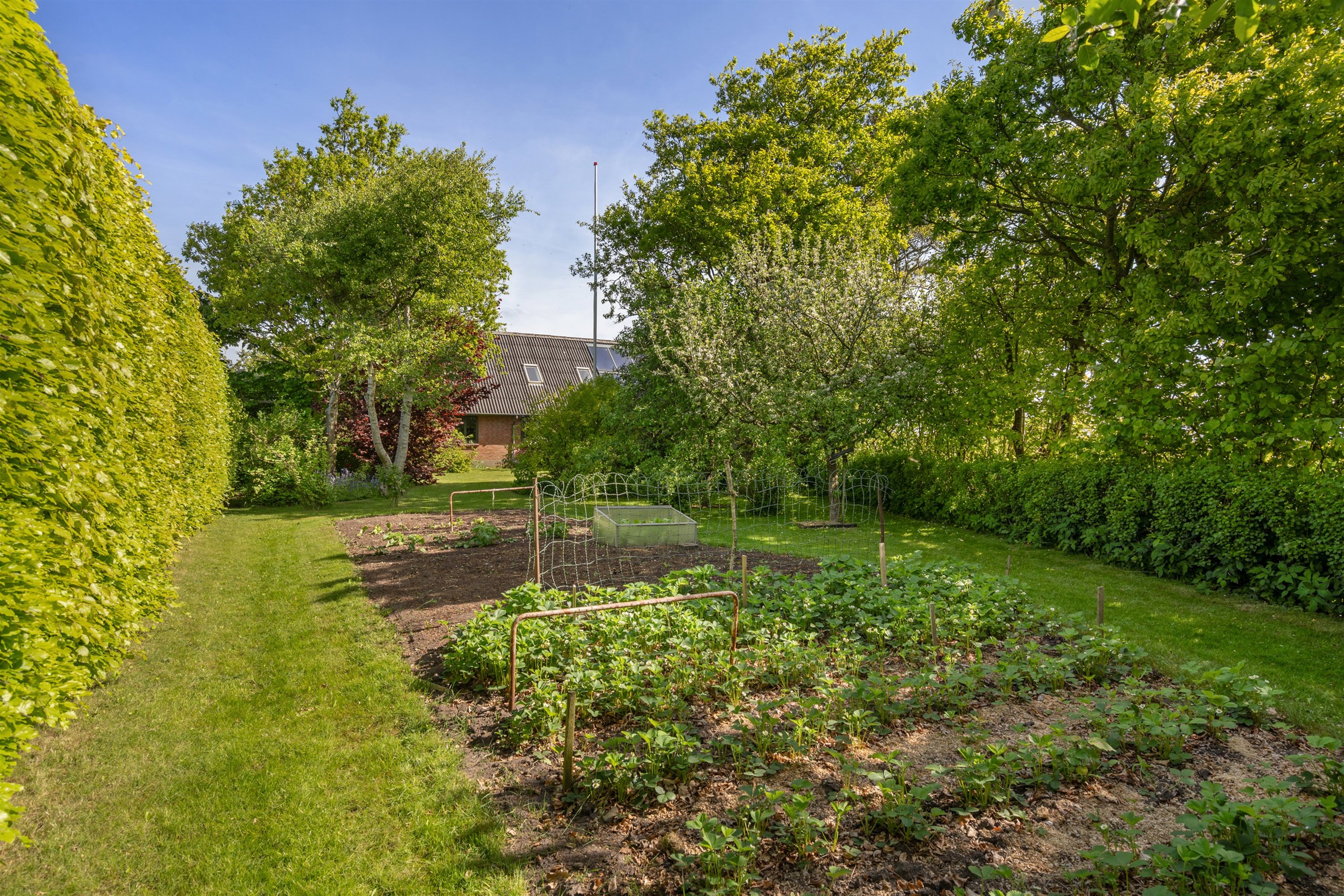 Fremhævet ejendommen billede i fuldskærmstilstand. Billede af Sdr Mallevej 44, Horne, 6800 Varde