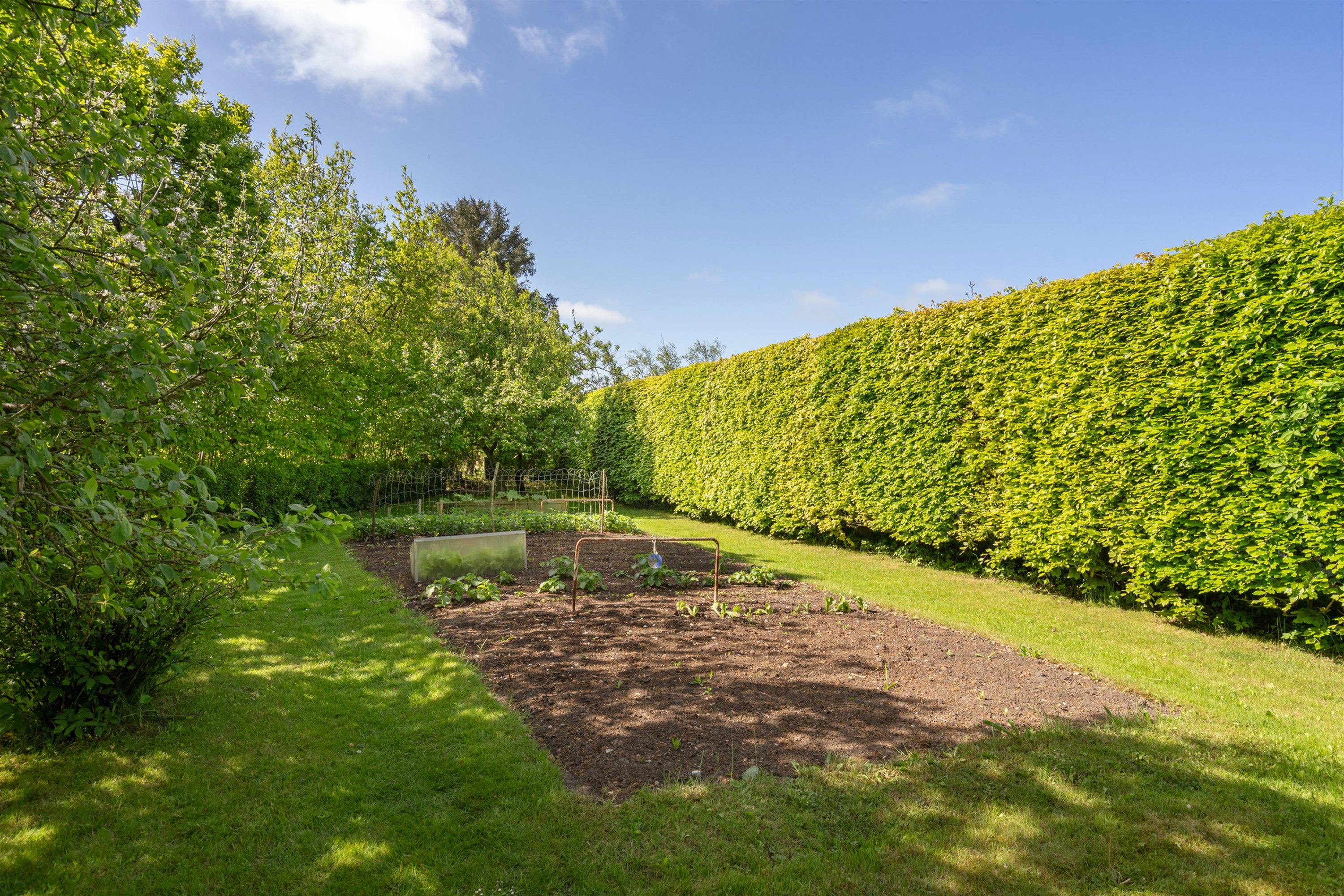 Fremhævet ejendommen billede i fuldskærmstilstand. Billede af Sdr Mallevej 44, Horne, 6800 Varde