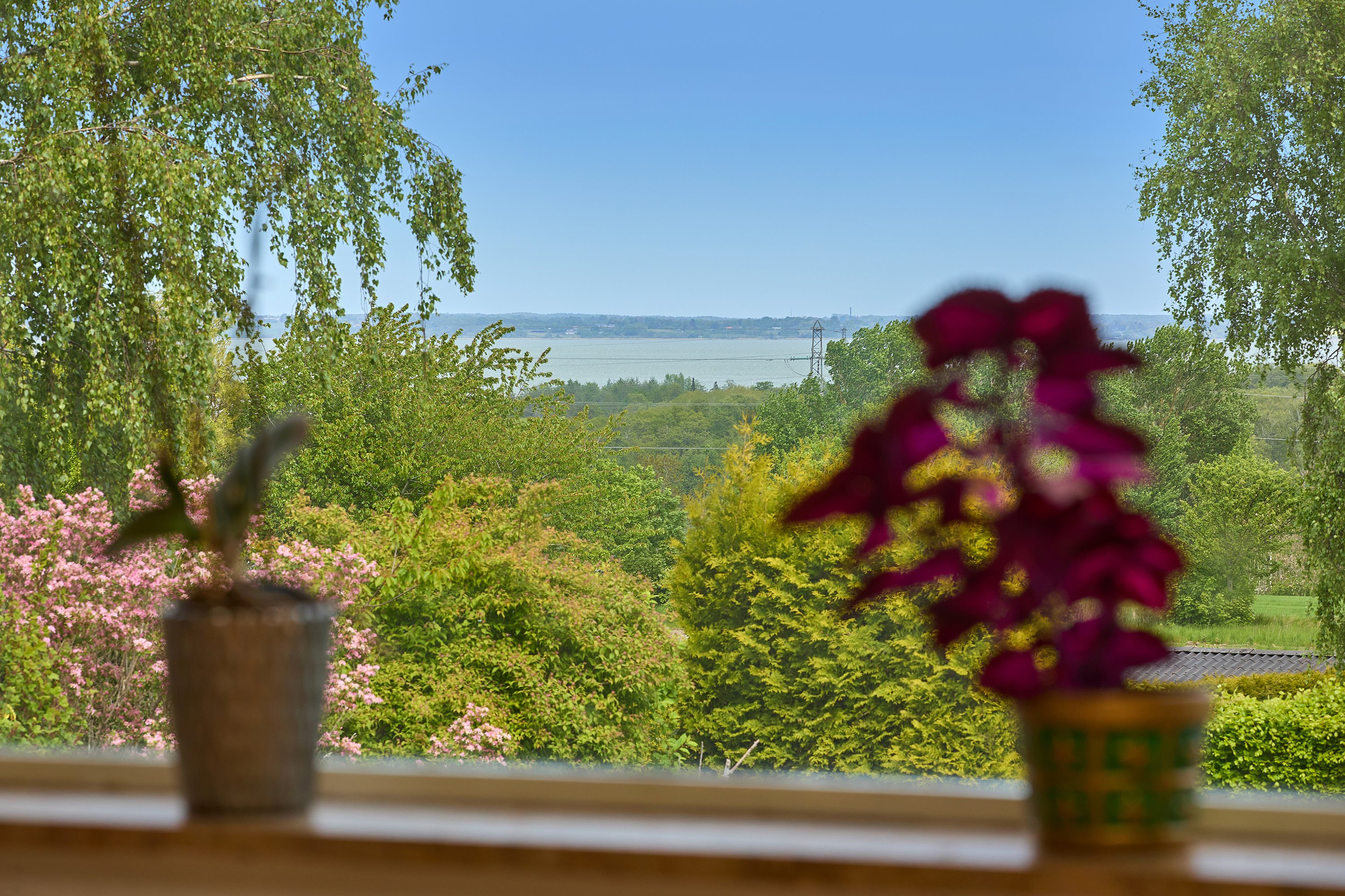 Miniaturebillede 2: udsigt. Billede af Musvitvej 5, 3300 Frederiksværk