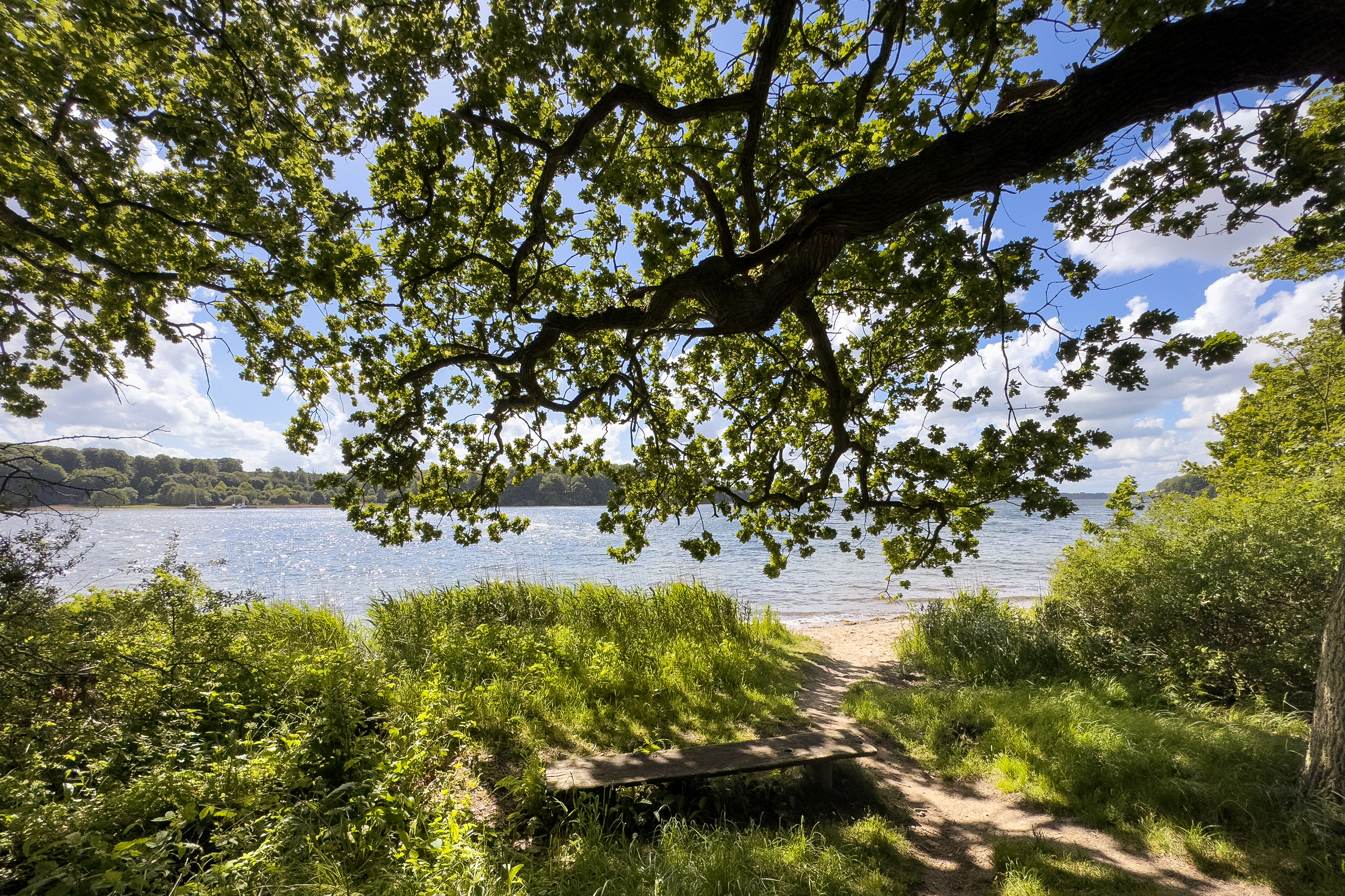 Fremhævet  billede i fuldskærmstilstand. Billede af Oddevejen 205, 5500 Middelfart