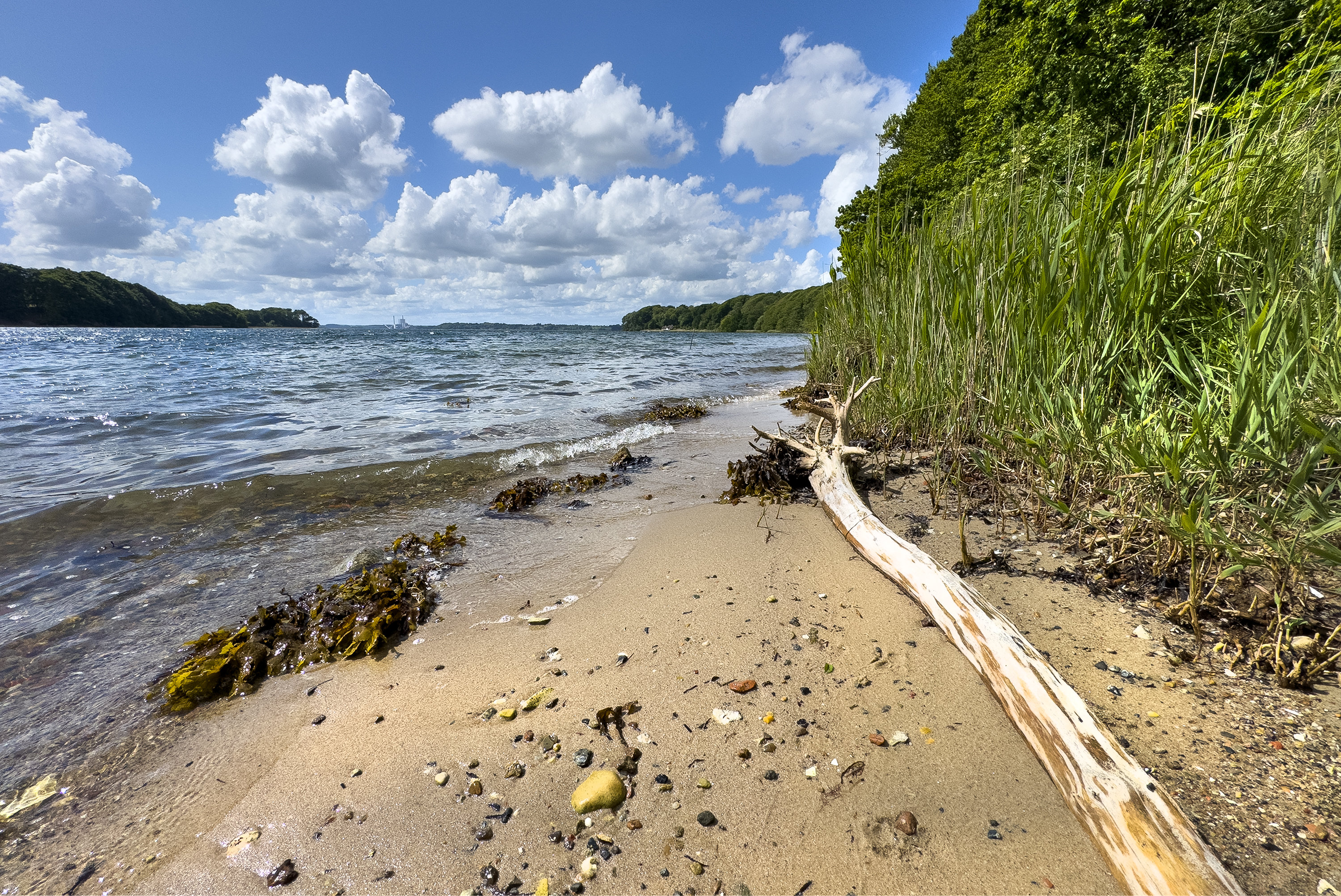 Fremhævet  billede i fuldskærmstilstand. Billede af Oddevejen 205, 5500 Middelfart