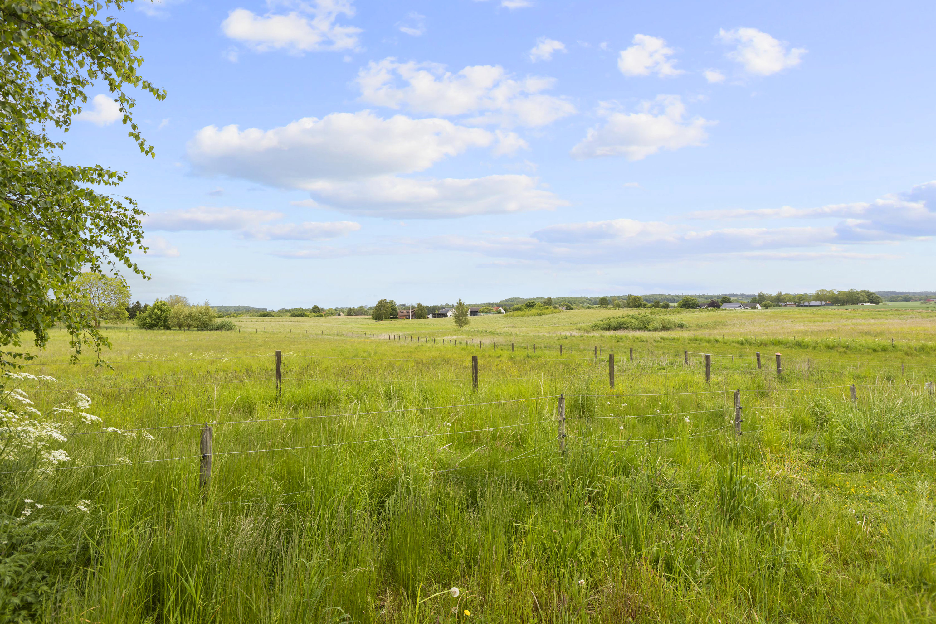 Fremhævet grund billede i fuldskærmstilstand. Billede af Holbækvej 214, Estrup, 4100 Ringsted