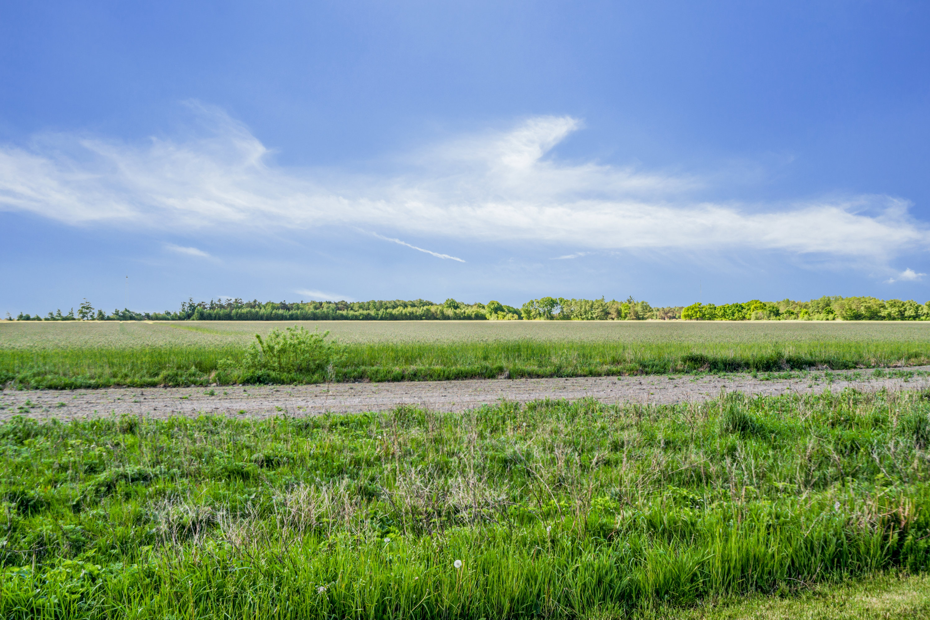 Fremhævet udsigt billede i fuldskærmstilstand. Billede af Tørkerivej 7, Byrum, 9940 Læsø