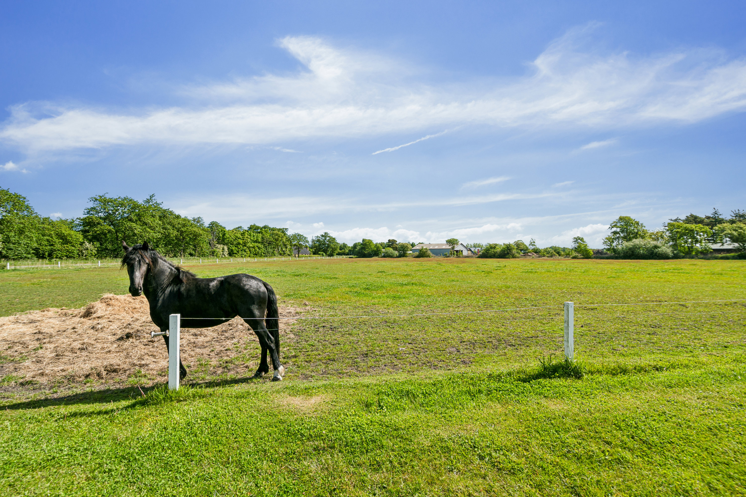 Fremhævet have billede i fuldskærmstilstand. Billede af Tørkerivej 7, Byrum, 9940 Læsø