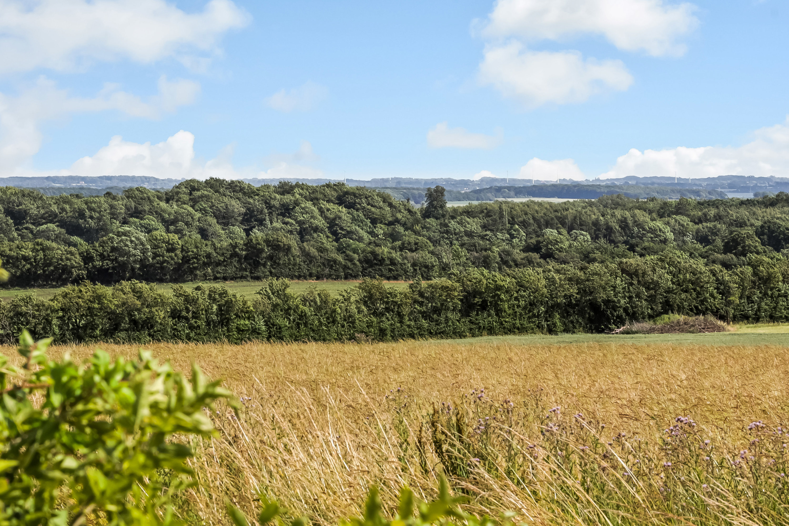 Fremhævet område billede i fuldskærmstilstand. Billede af Vievej 5, Tåsinge, 5700 Svendborg