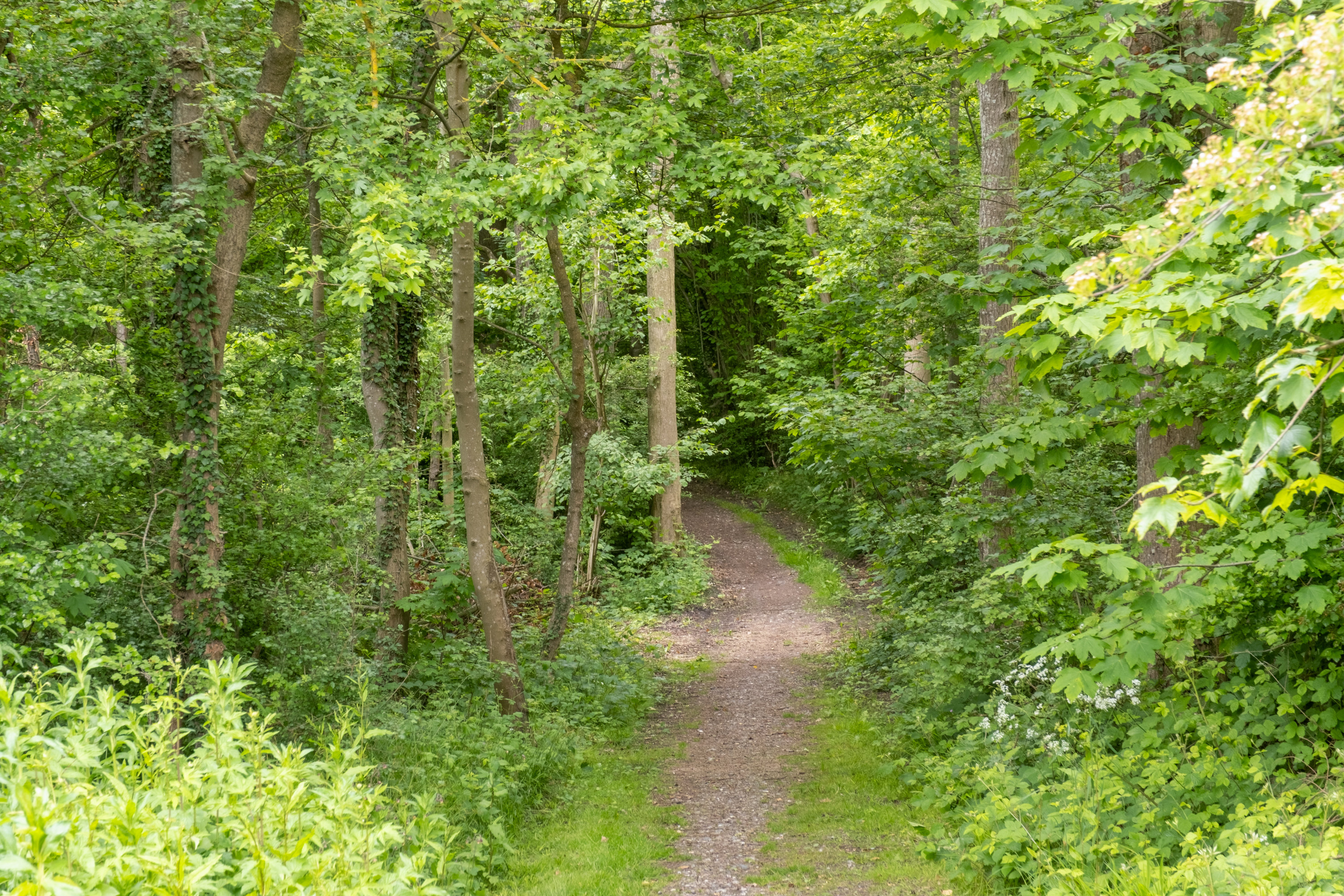 Fremhævet område billede i fuldskærmstilstand. Billede af Hegnet 11, 5871 Frørup