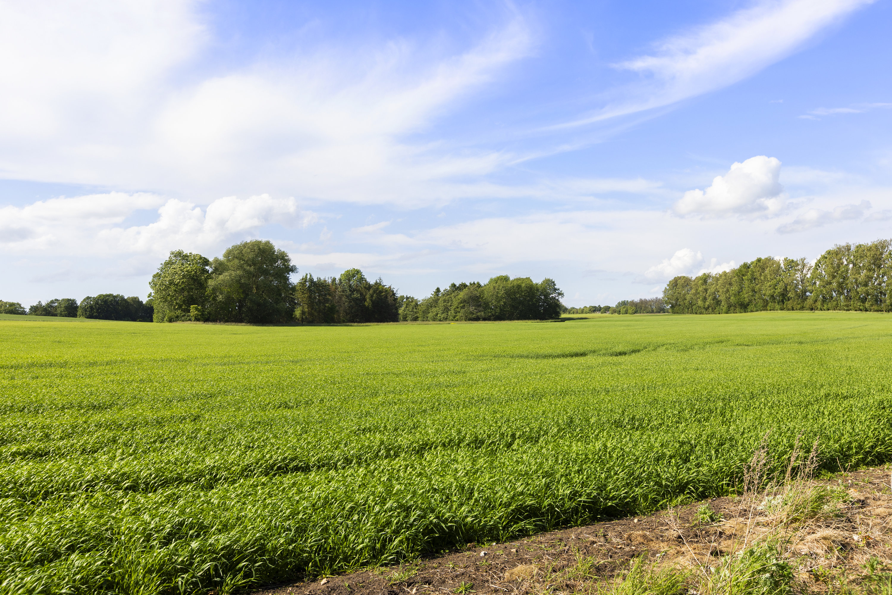 Fremhævet udsigt billede i fuldskærmstilstand. Billede af Snekkerupvej 12, Snekkerup, 4200 Slagelse