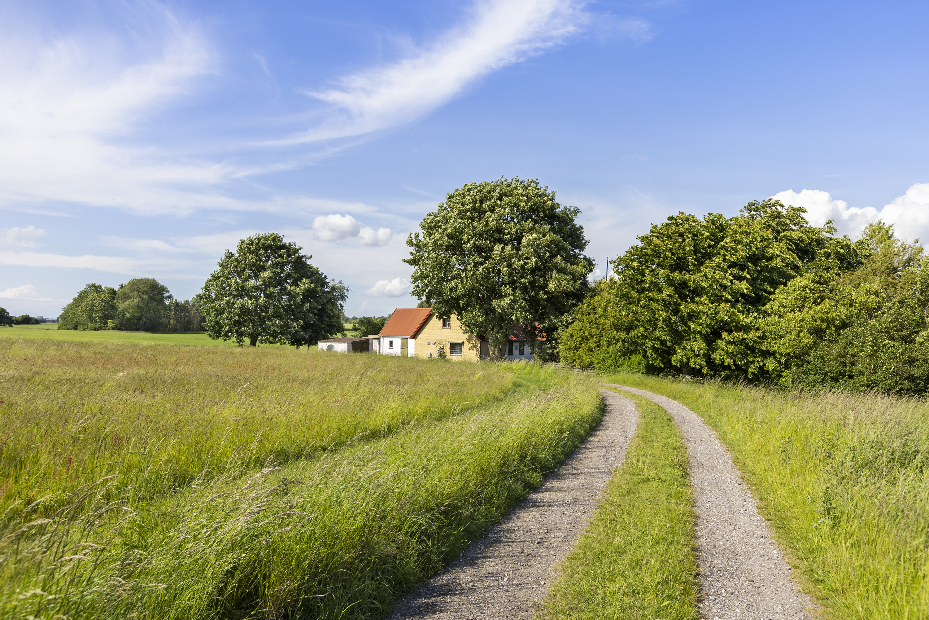 Miniaturebillede 2: indkørsel. Billede af Snekkerupvej 12, Snekkerup, 4200 Slagelse