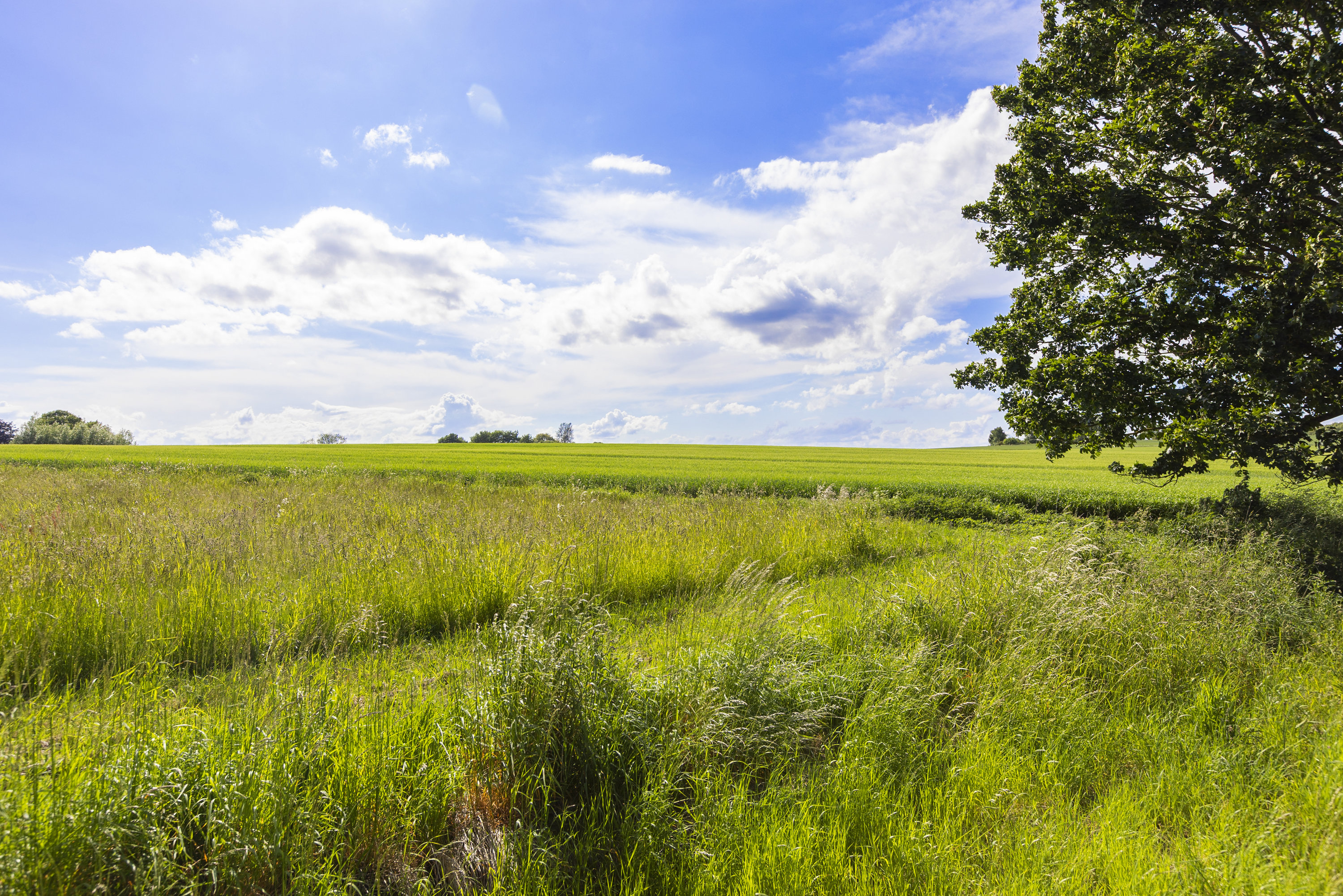 Fremhævet udsigt billede i fuldskærmstilstand. Billede af Snekkerupvej 12, Snekkerup, 4200 Slagelse