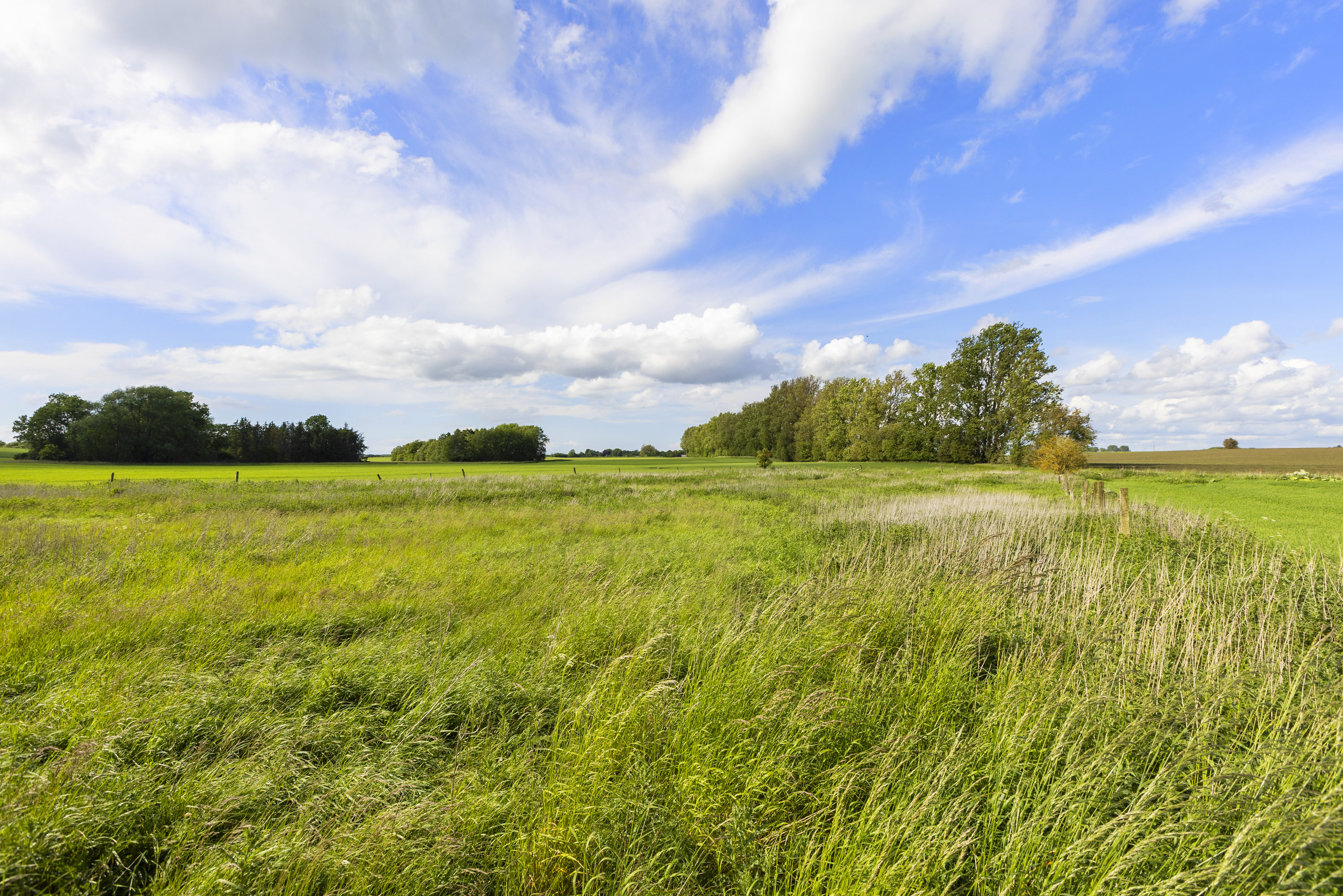 Fremhævet grund billede i fuldskærmstilstand. Billede af Snekkerupvej 12, Snekkerup, 4200 Slagelse