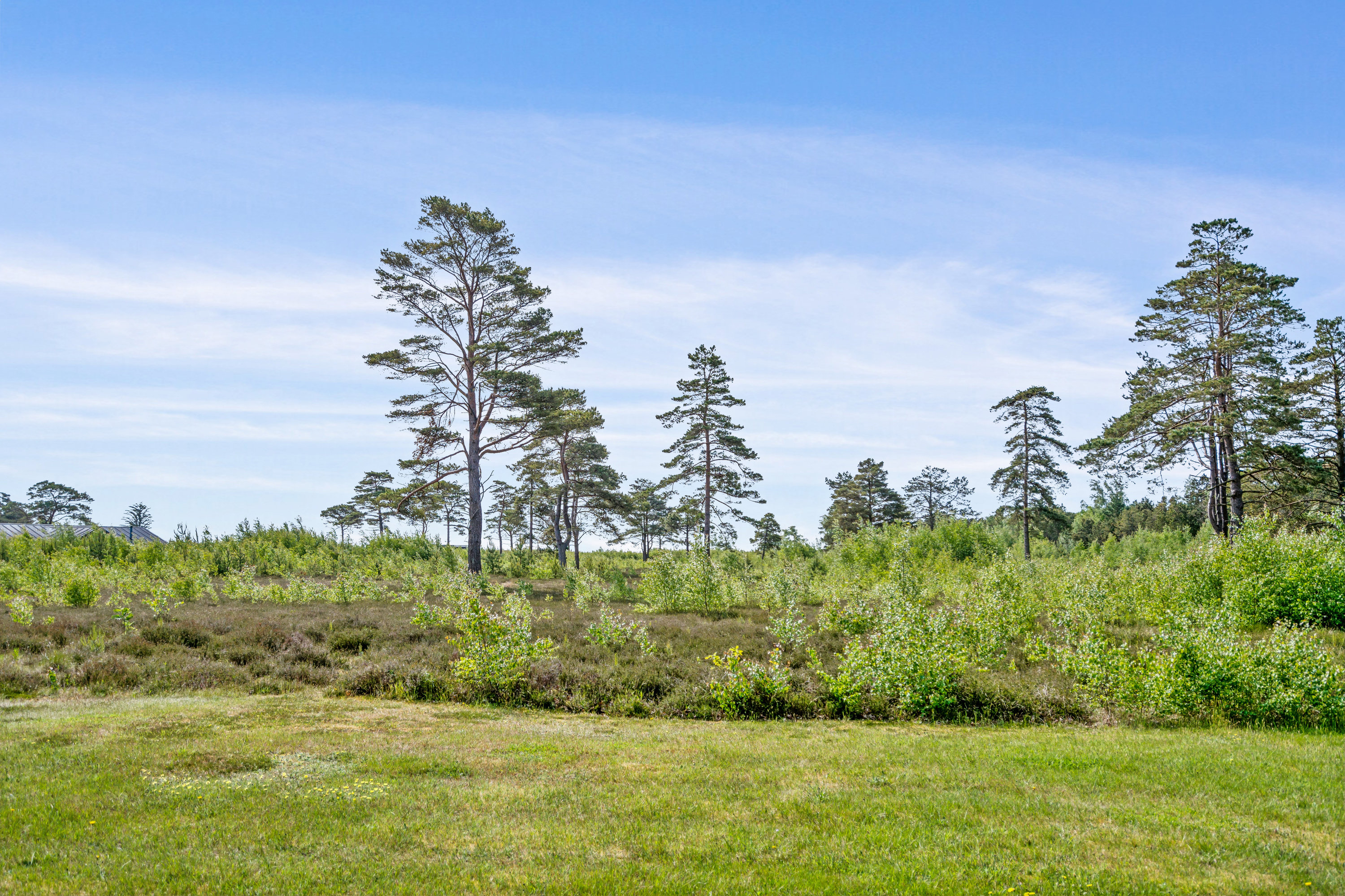 Fremhævet omgivelser billede i fuldskærmstilstand. Billede af Østerbyvejen 62, Østerby, 9940 Læsø
