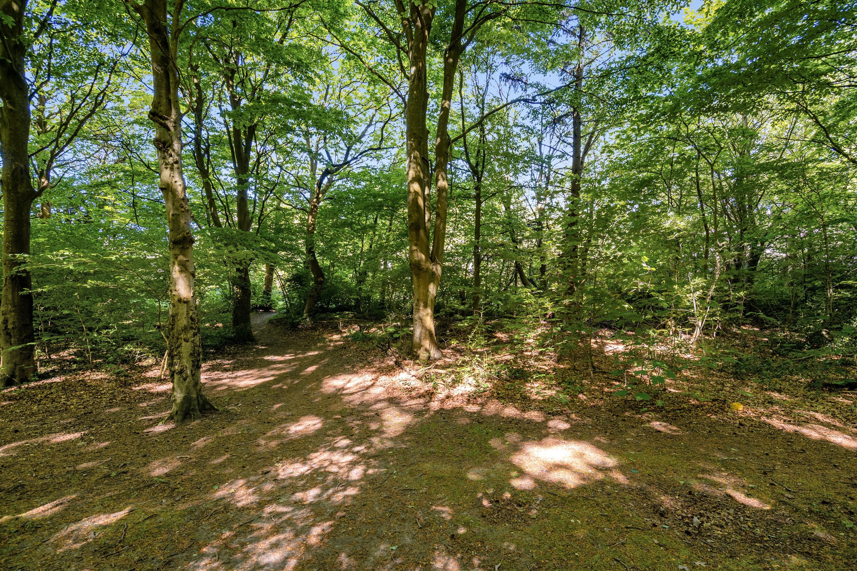 Fremhævet  billede i fuldskærmstilstand. Billede af Granly Alle 5D, 1. mf., 6710 Esbjerg V