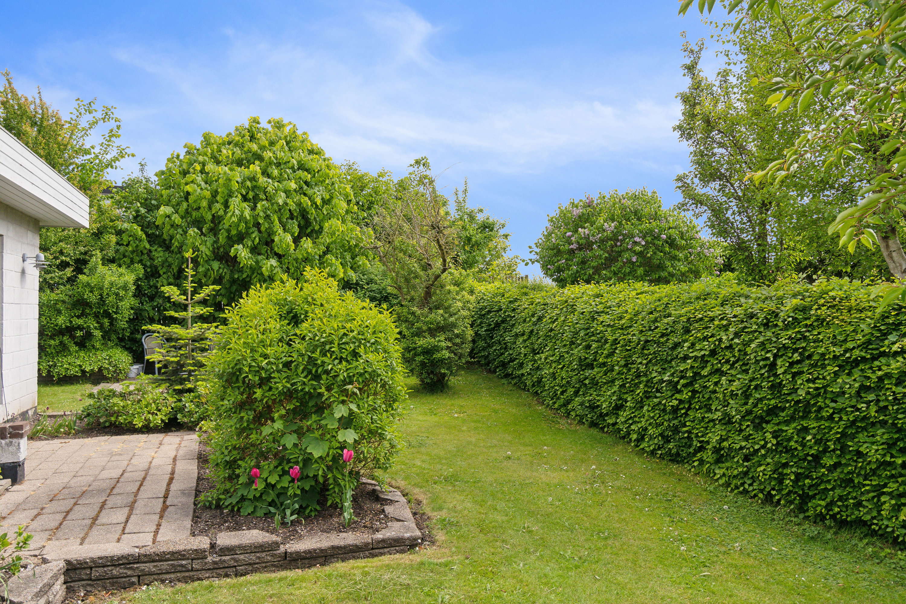 Miniaturebillede 2: set fra haven. Billede af Dragsbæk Fjordvej 1B, 7700 Thisted