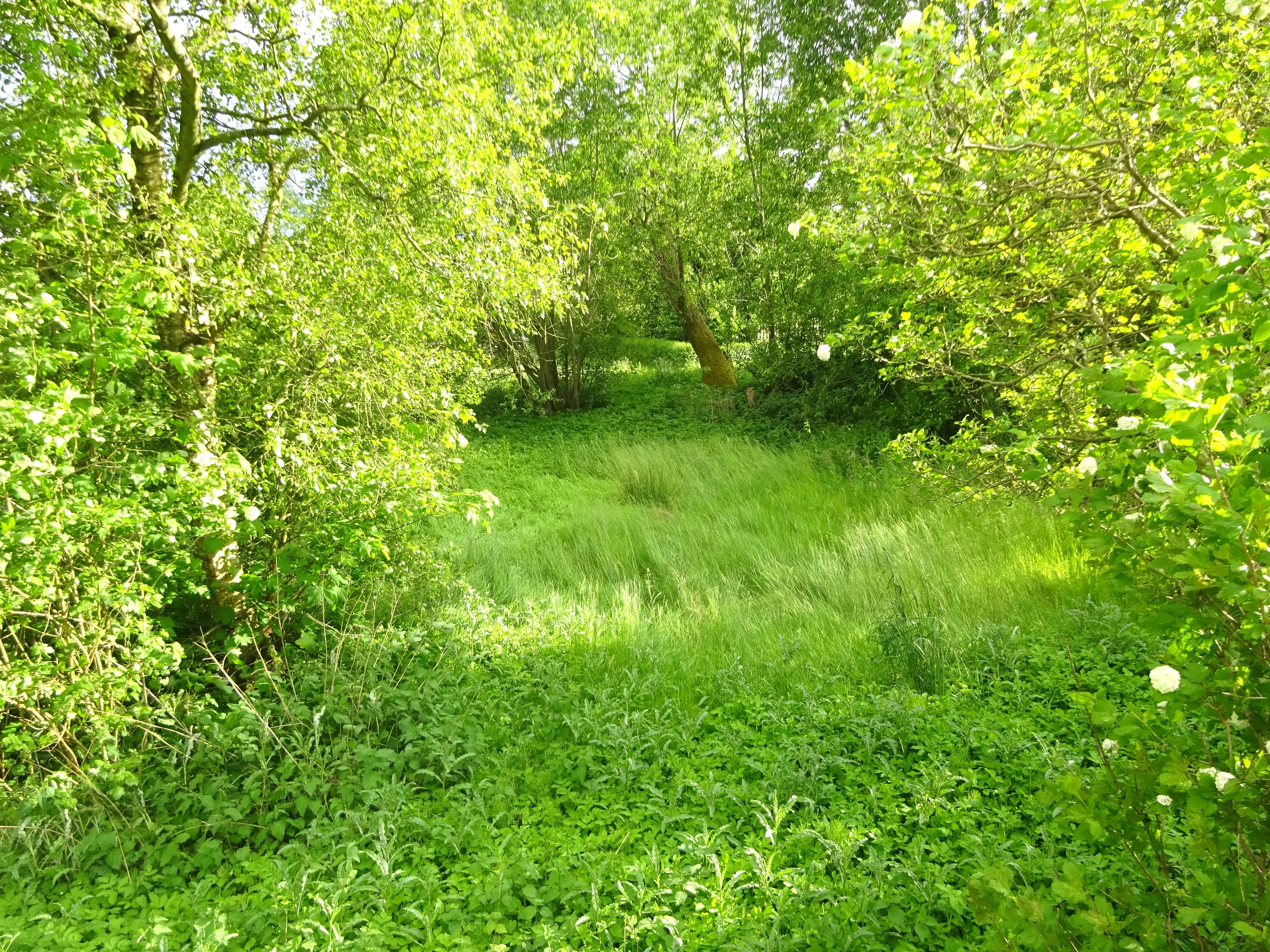 Fremhævet  billede i fuldskærmstilstand. Billede af Hobrovej 26, Roum, 9632 Møldrup