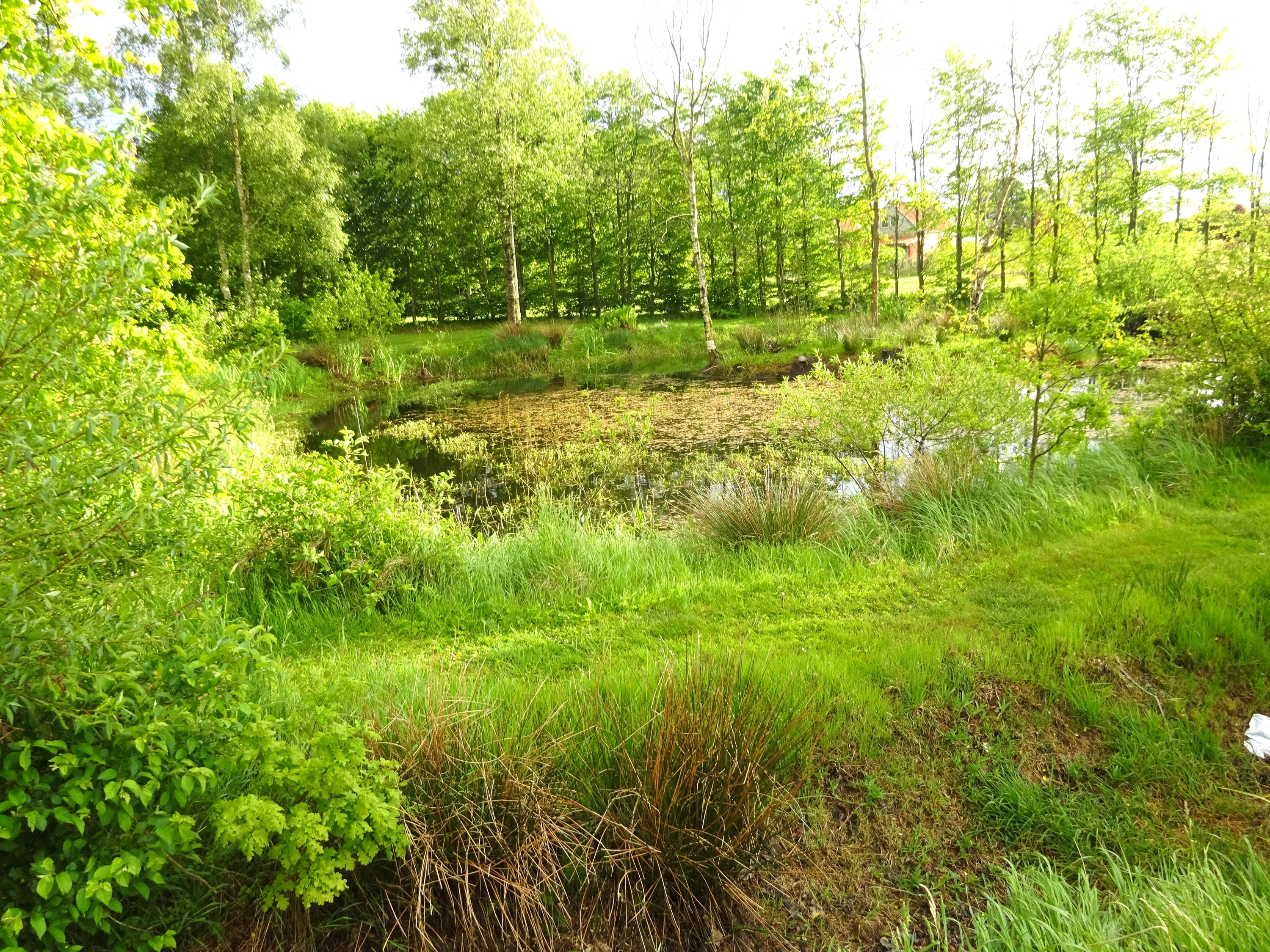 Fremhævet  billede i fuldskærmstilstand. Billede af Hobrovej 26, Roum, 9632 Møldrup