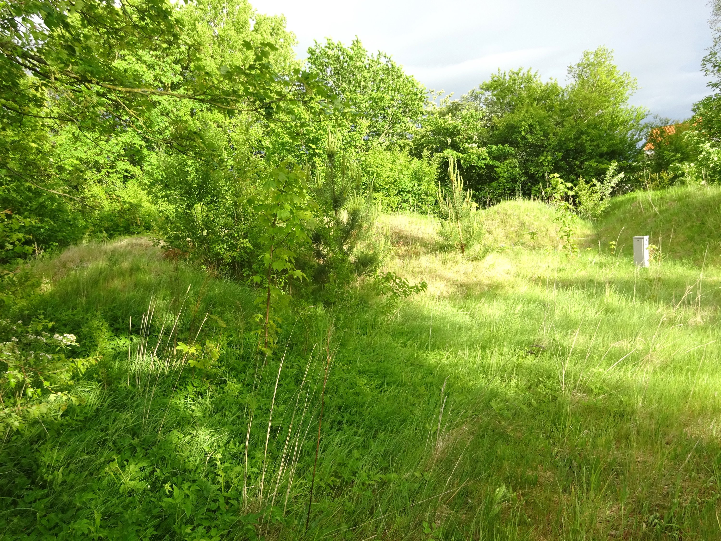 Miniaturebillede 1: . Billede af Hobrovej 26, Roum, 9632 Møldrup