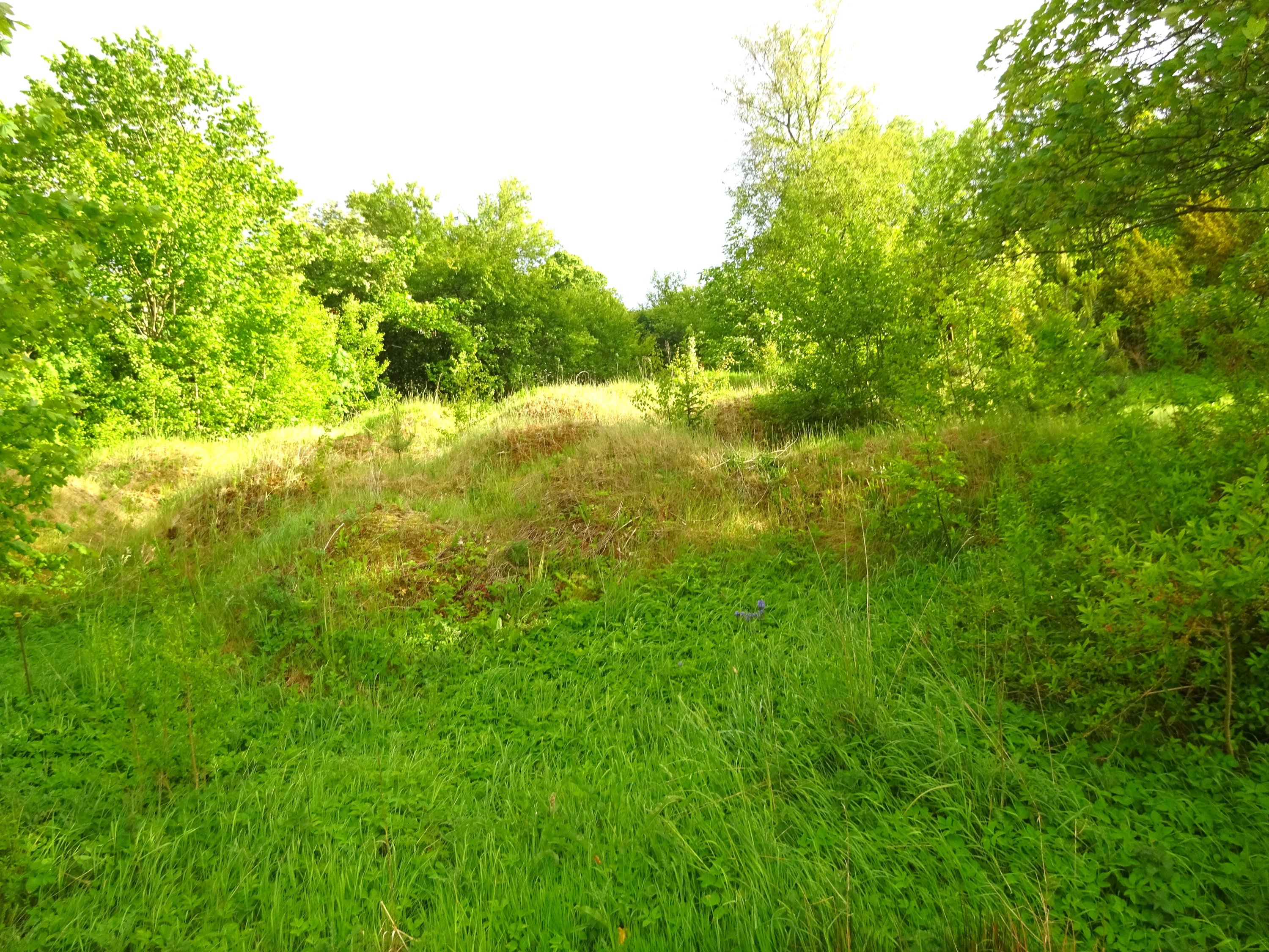 Fremhævet  billede i fuldskærmstilstand. Billede af Hobrovej 26, Roum, 9632 Møldrup