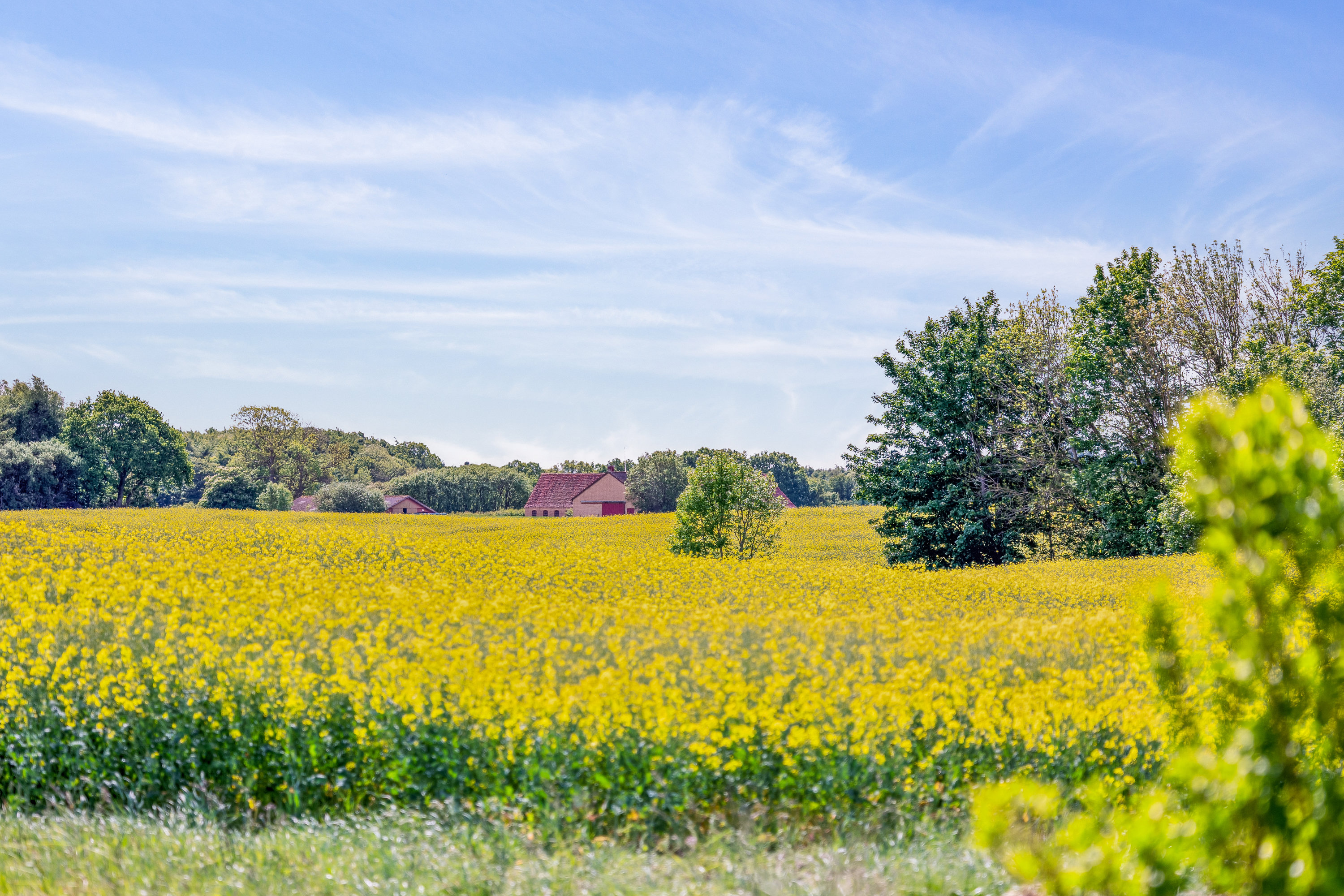 Miniaturebillede 2: grund. Billede af Sønderødvej 29, Tågerup, 4291 Ruds Vedby