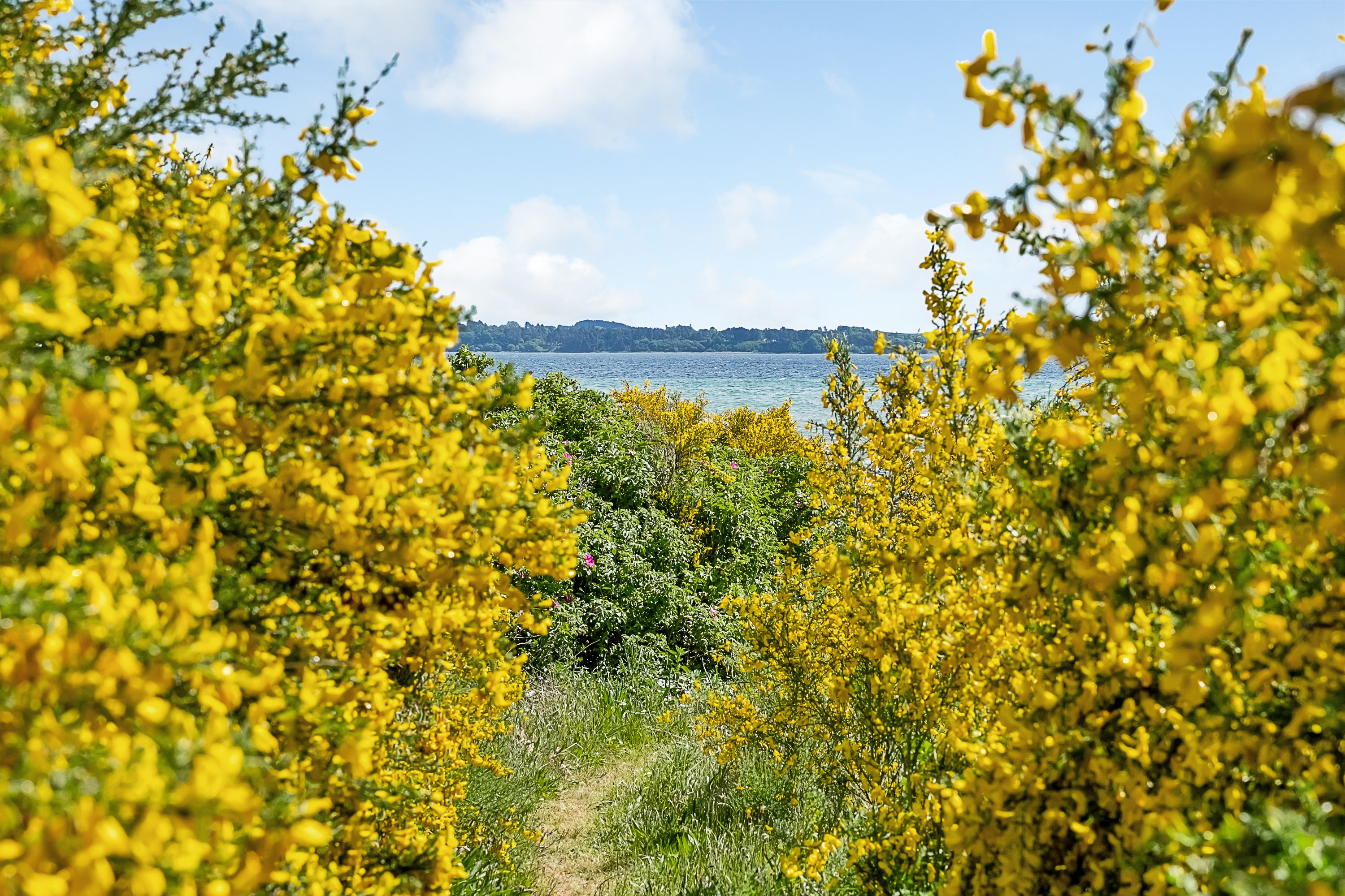Fremhævet udsigt billede i fuldskærmstilstand. Billede af Strandvangsvej 116, 8250 Egå