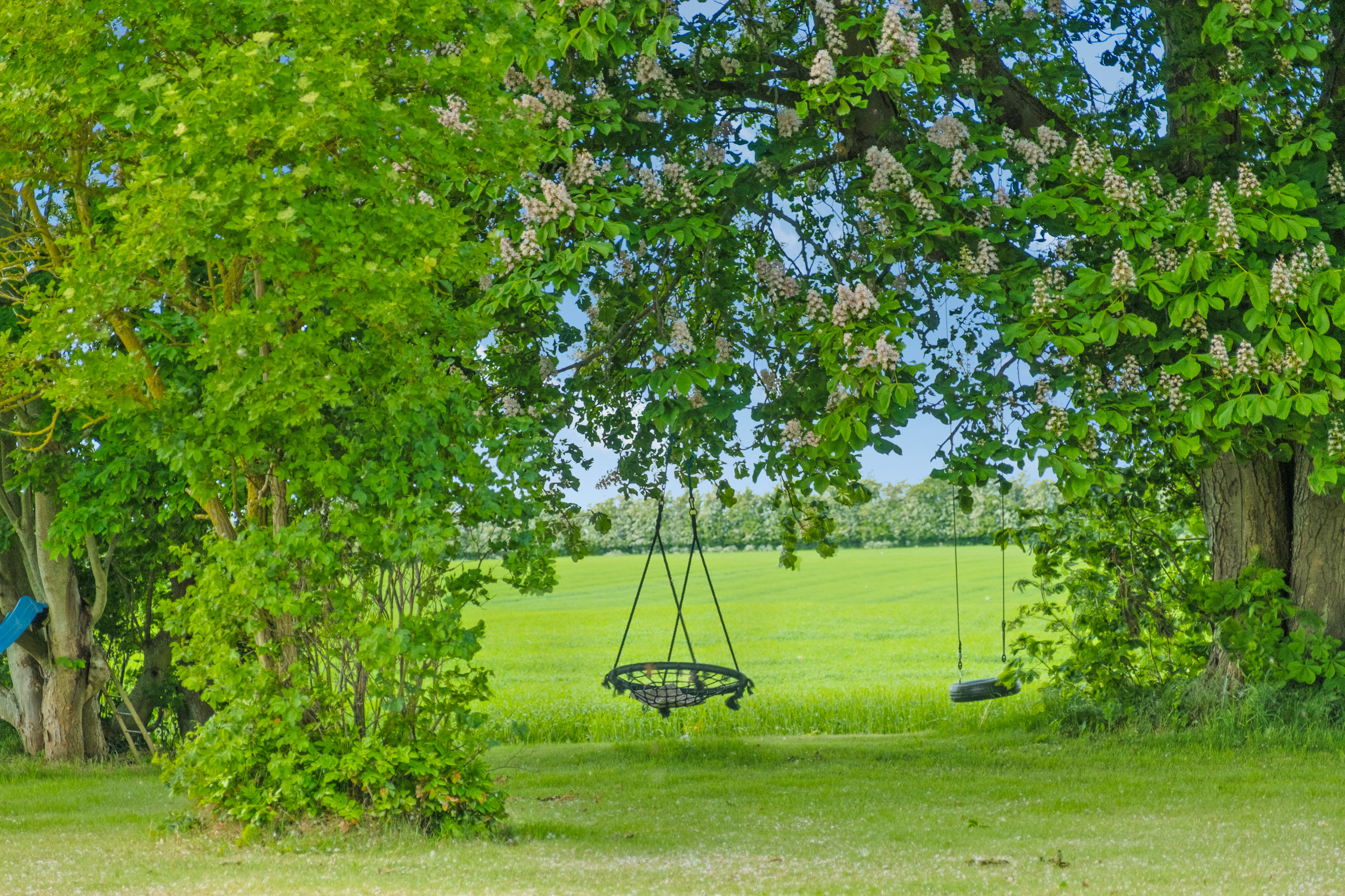 Fremhævet have billede i fuldskærmstilstand. Billede af Juelsbergvej 4, Juelsberg, 5800 Nyborg