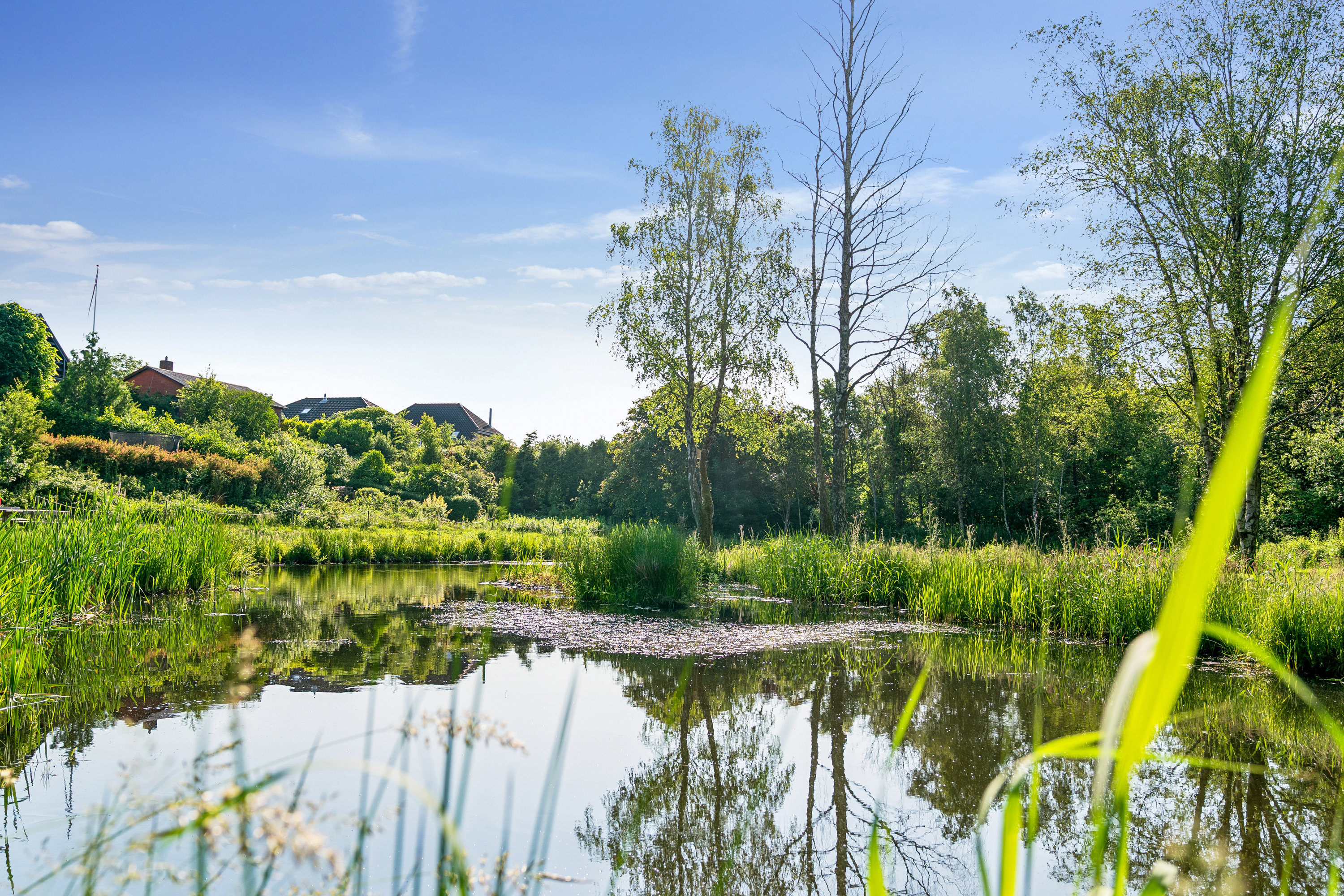 Fremhævet omgivelser billede i fuldskærmstilstand. Billede af Rugvænget 19, Skallebølle, 5492 Vissenbjerg