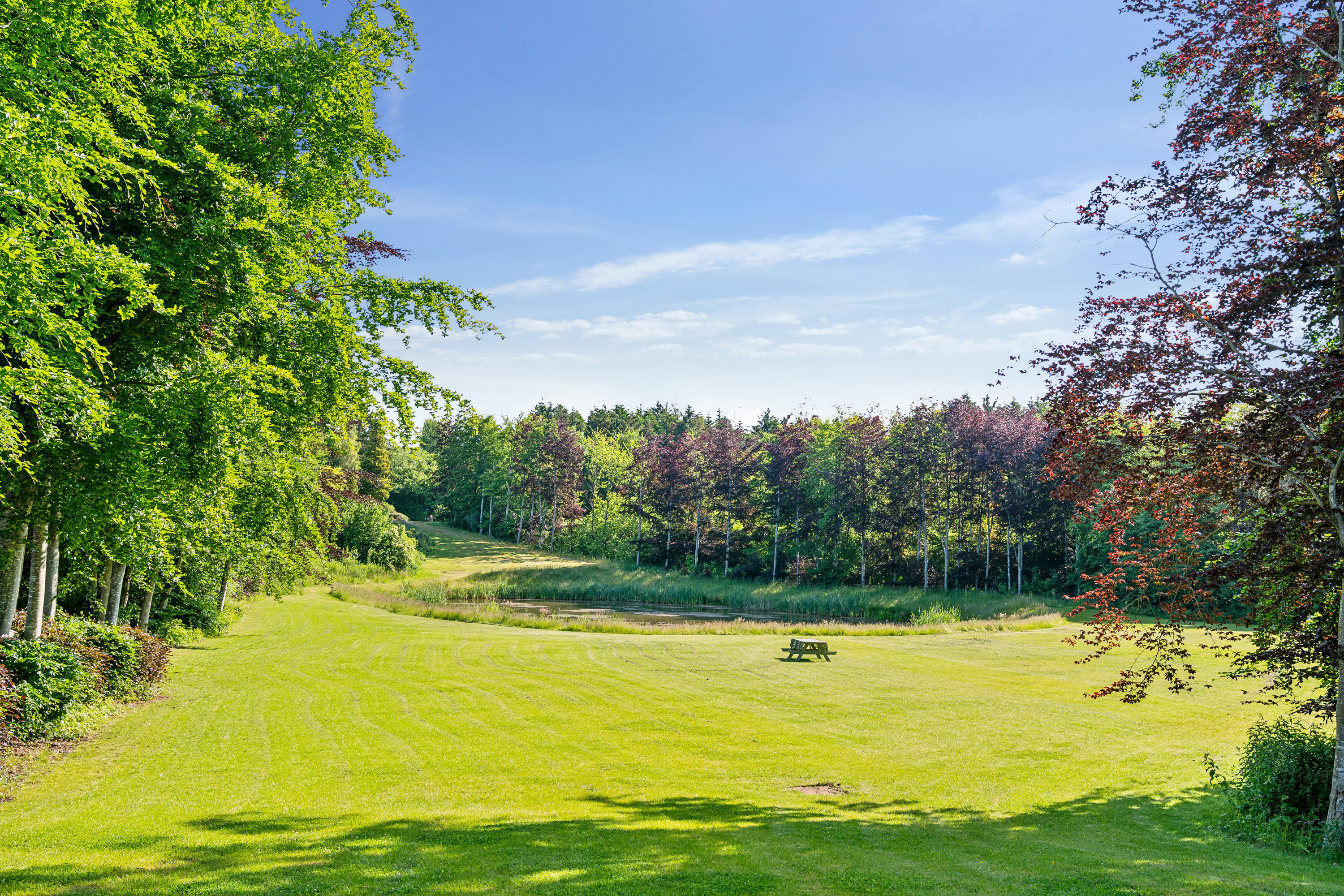 Villa: Have på Rugvænget 19, Skallebølle, 5492 Vissenbjerg