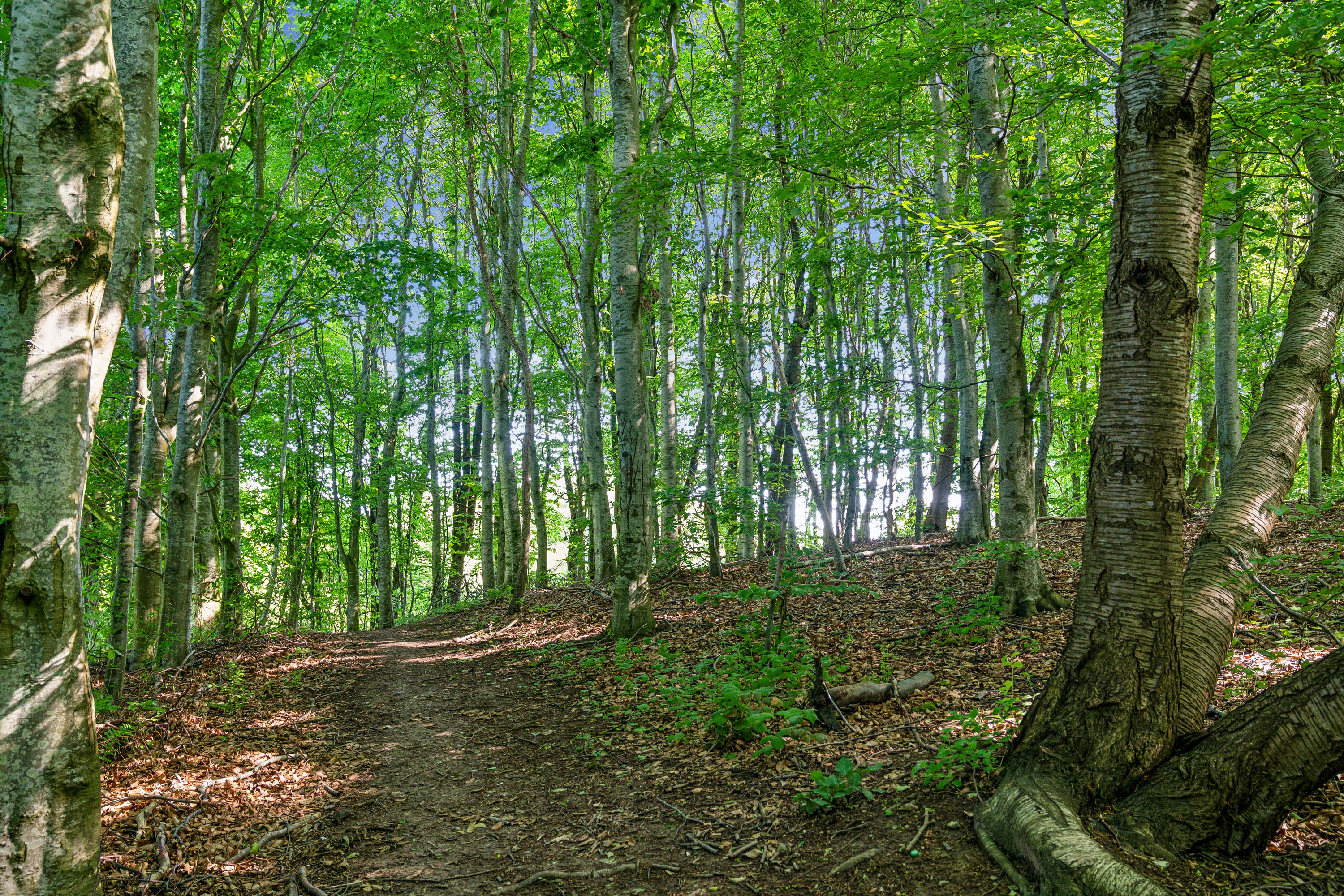 Fremhævet andet billede i fuldskærmstilstand. Billede af Rugvænget 19, Skallebølle, 5492 Vissenbjerg