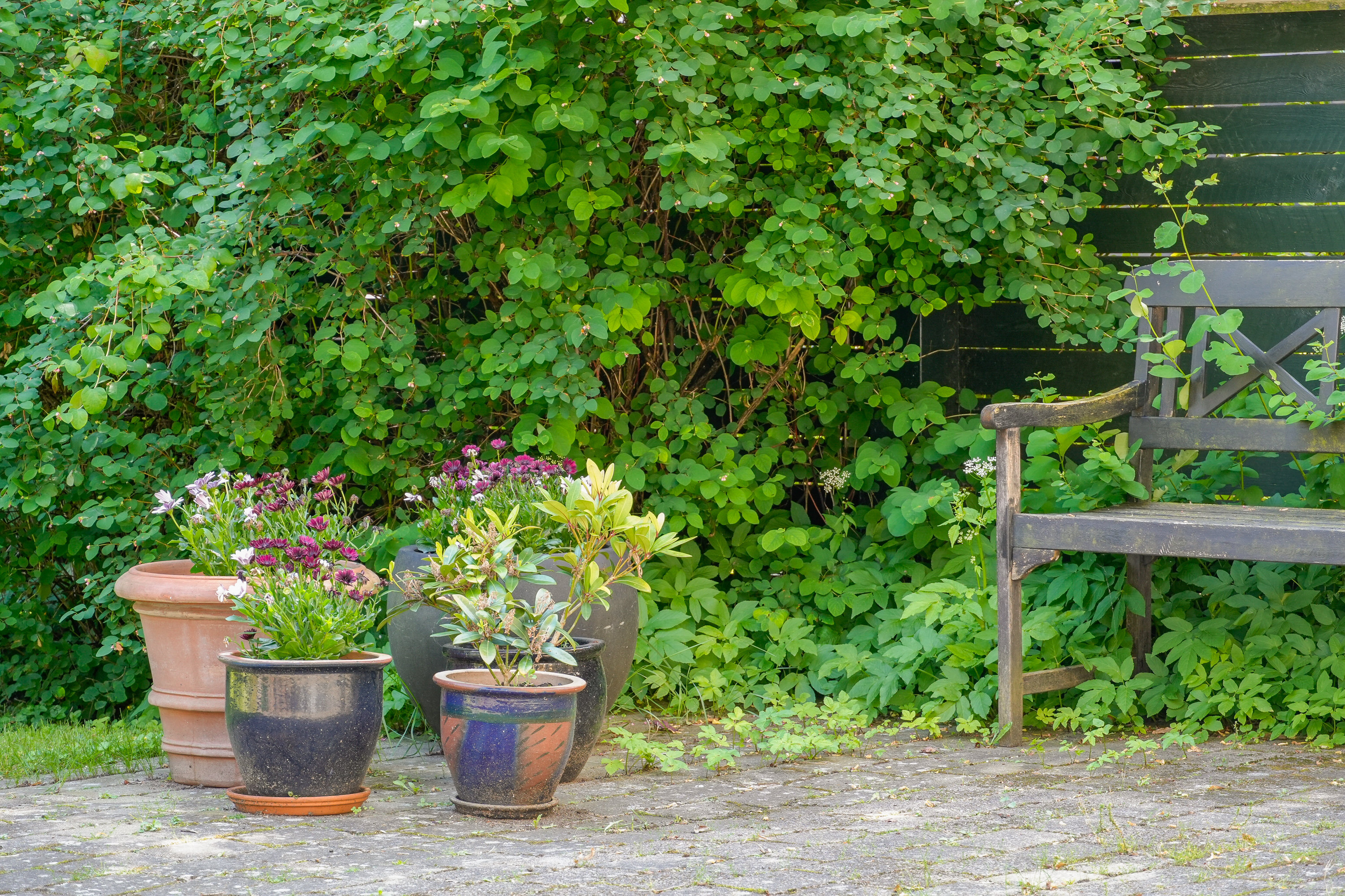 Fremhævet andet billede i fuldskærmstilstand. Billede af Frydendalsvej 31, 1809 Frederiksberg C