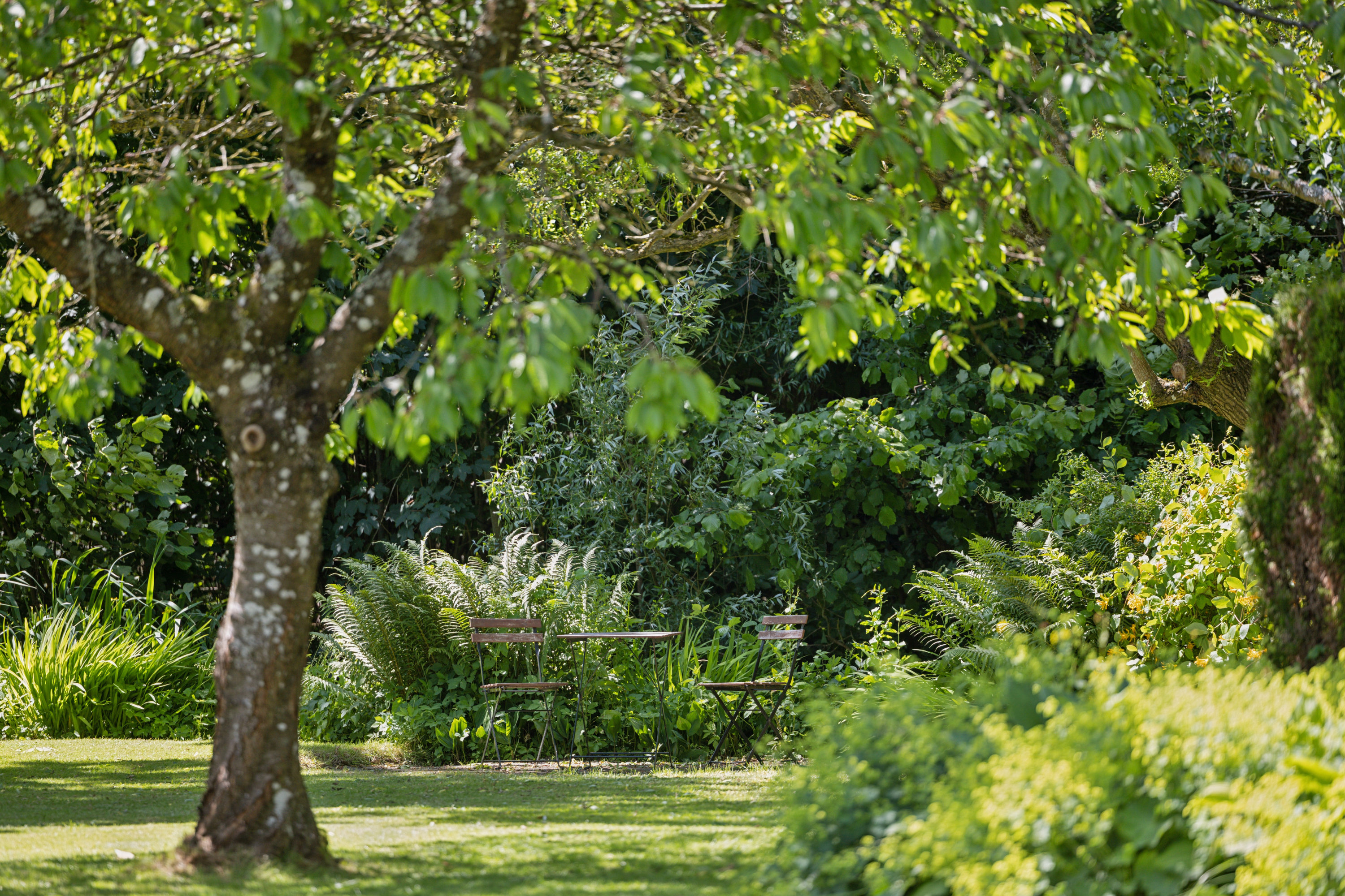 Fremhævet have billede i fuldskærmstilstand. Billede af Agedrupvej 9, Agedrup, 5320 Agedrup