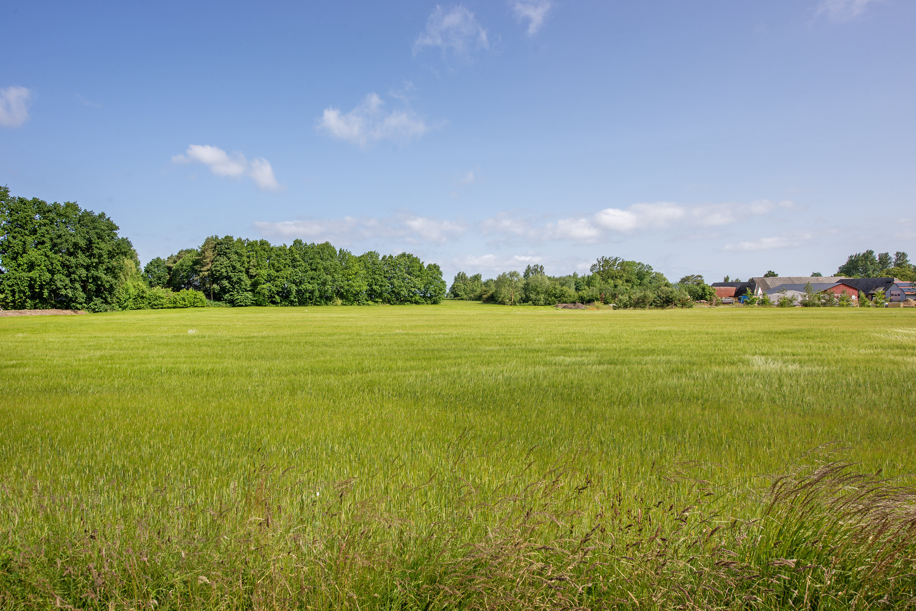 Fremhævet  billede i fuldskærmstilstand. Billede af Mosevej 19, Kassemose, 5400 Bogense