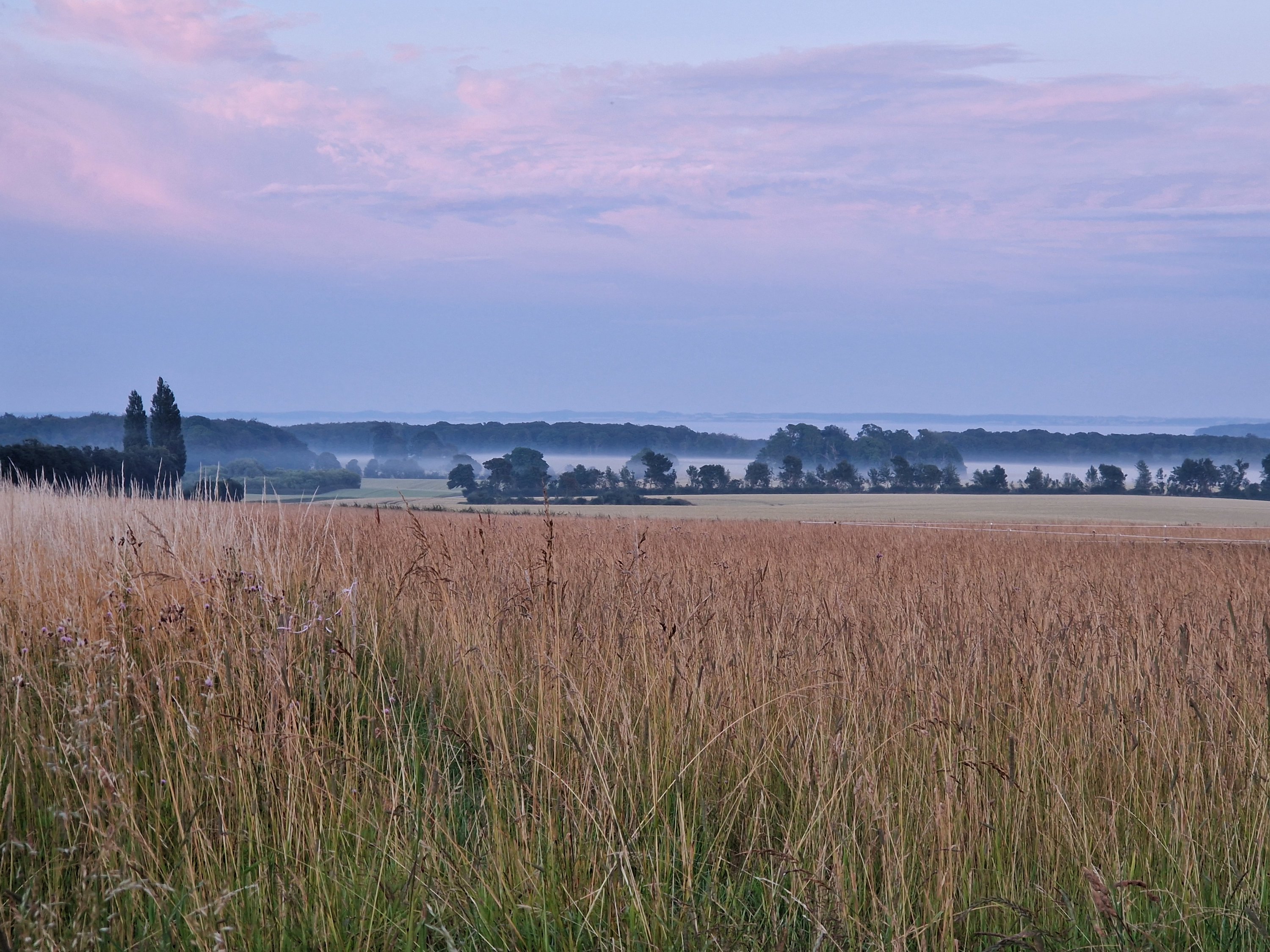 Fremhævet  billede i fuldskærmstilstand. Billede af Vievej 5, Tåsinge, 5700 Svendborg