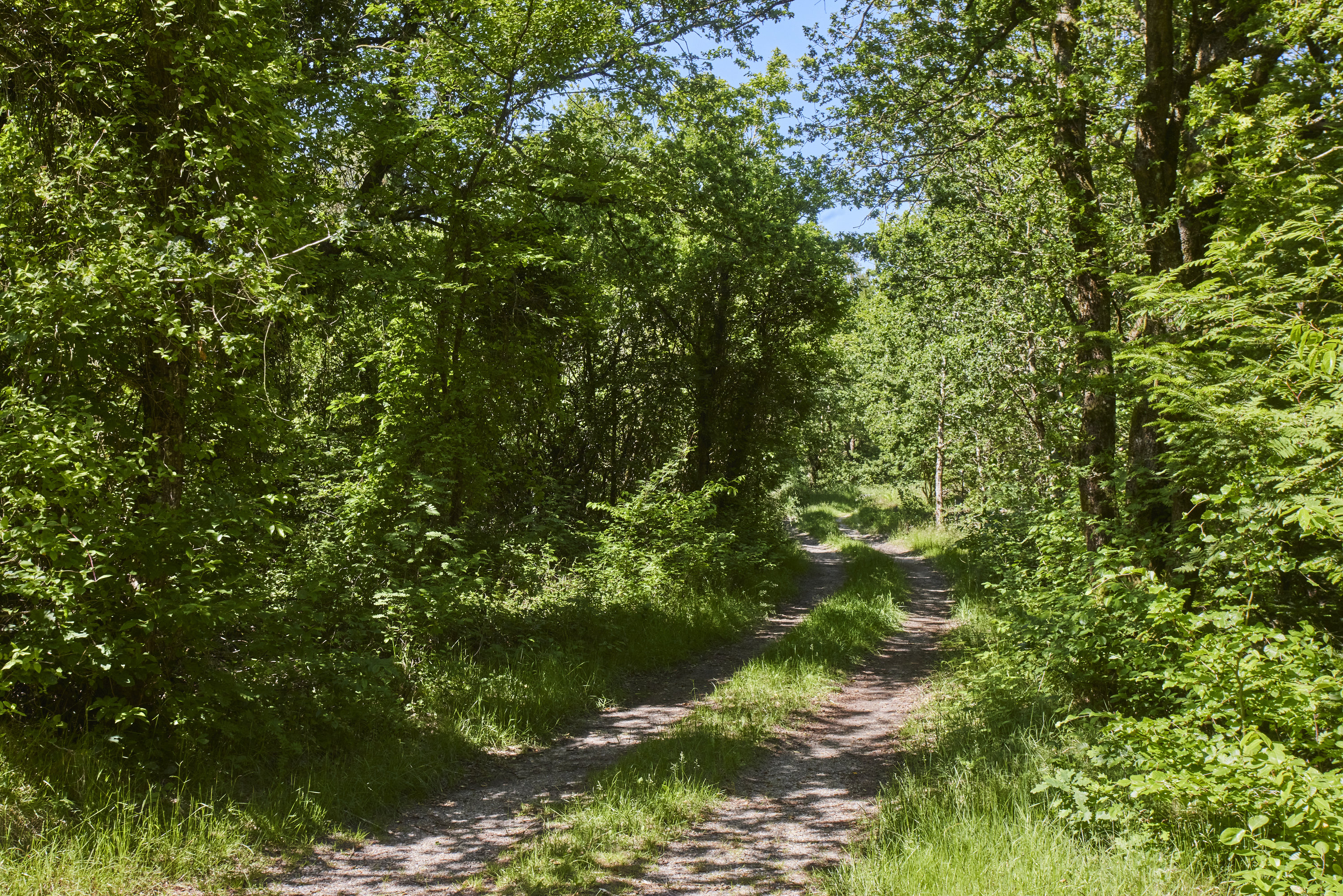 Fremhævet ejendommen billede i fuldskærmstilstand. Billede af Tingvej 42, Ulbjerg, 8832 Skals